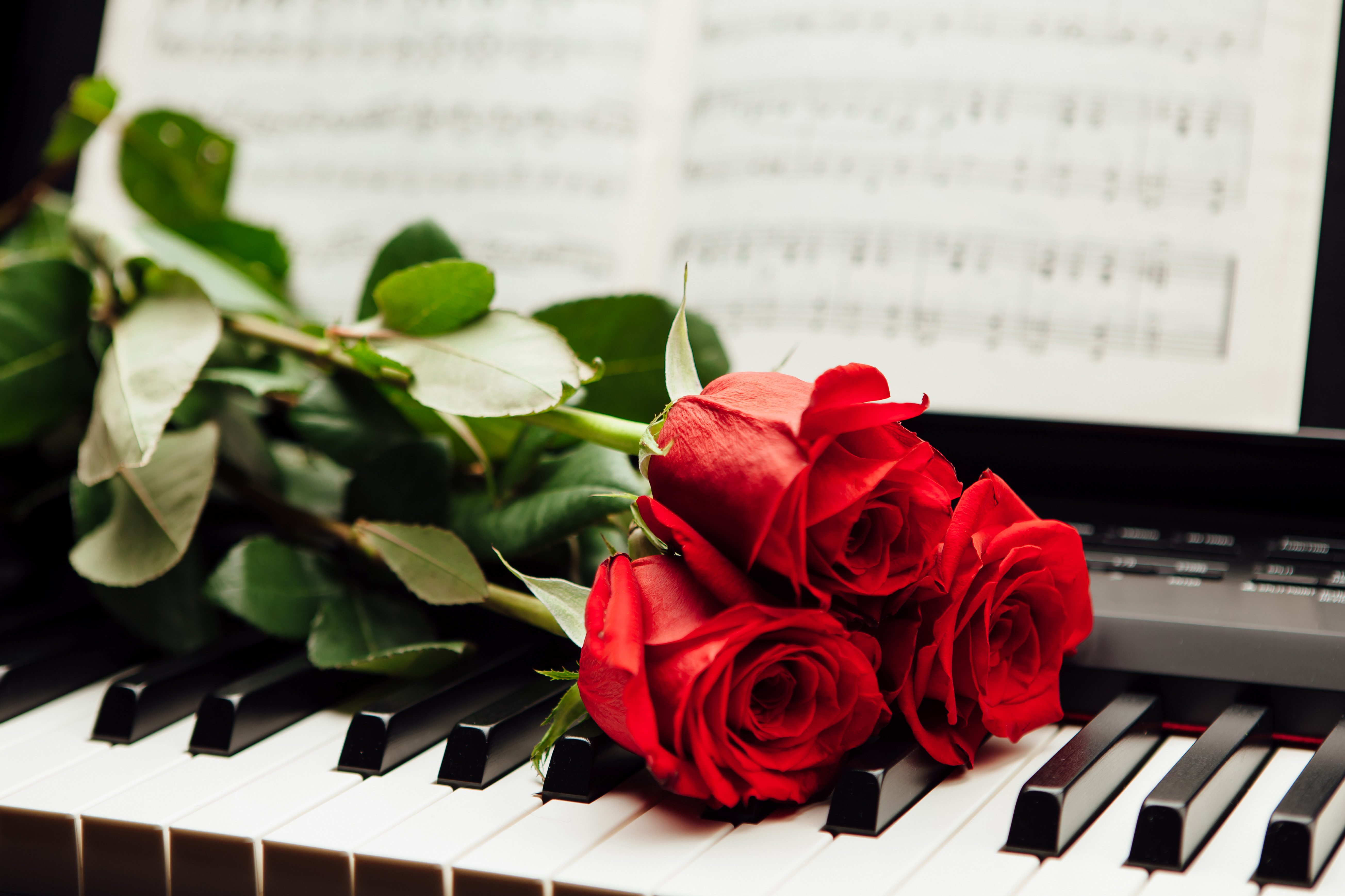 На клавишах тургенева. Музыкальный букет цветов. Рояль с цветами.