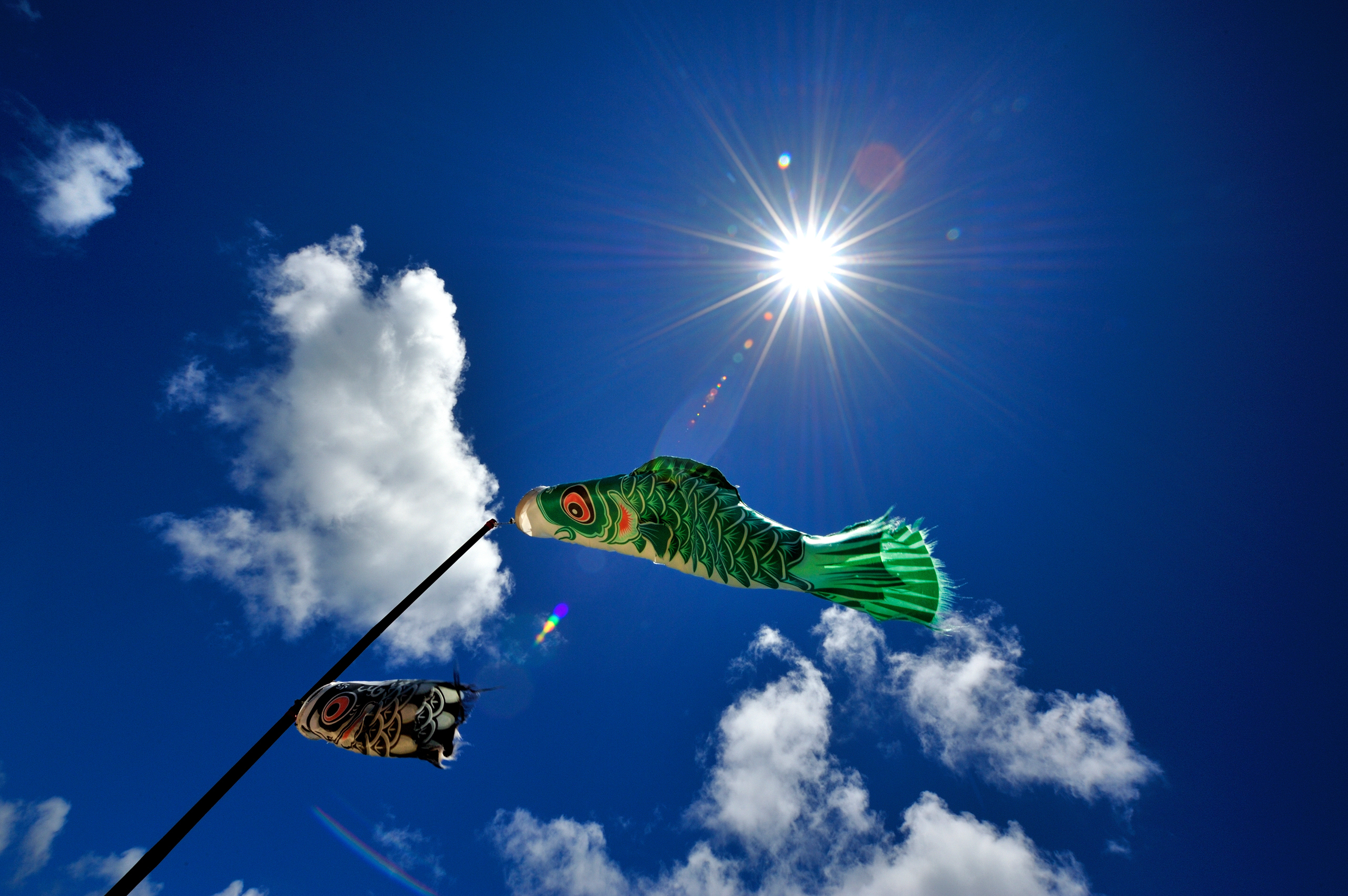 Cloud fish. Рыбка на небе. Облако рыбка. Обои рыбки. Тучах рыба.