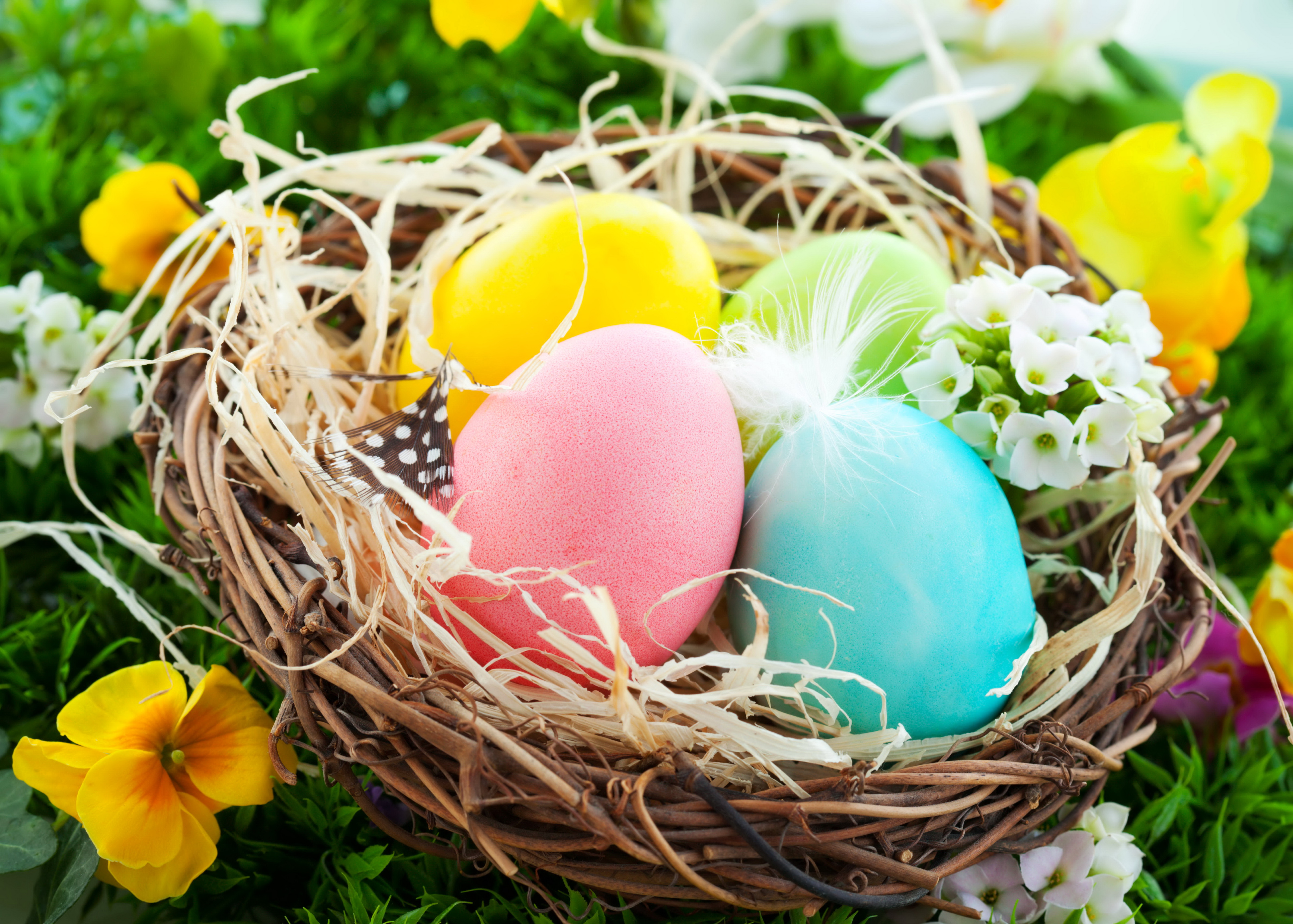 Какая сейчас пасха. Пасхальное яйцо. Пасхальная корзинка для яиц. Пасхальные цветы. Пасхальные яйца в гнезде.
