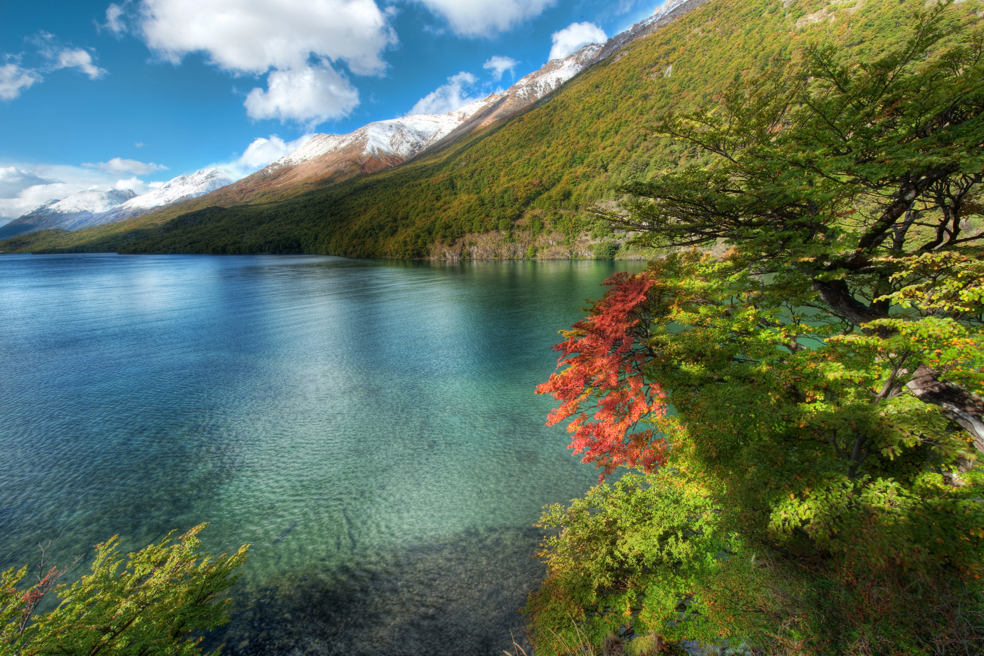 Моря озера реки южной америки. Озеро Рица. Озеро Кезеной ам. Аргентина природа. Озера Аргентины.
