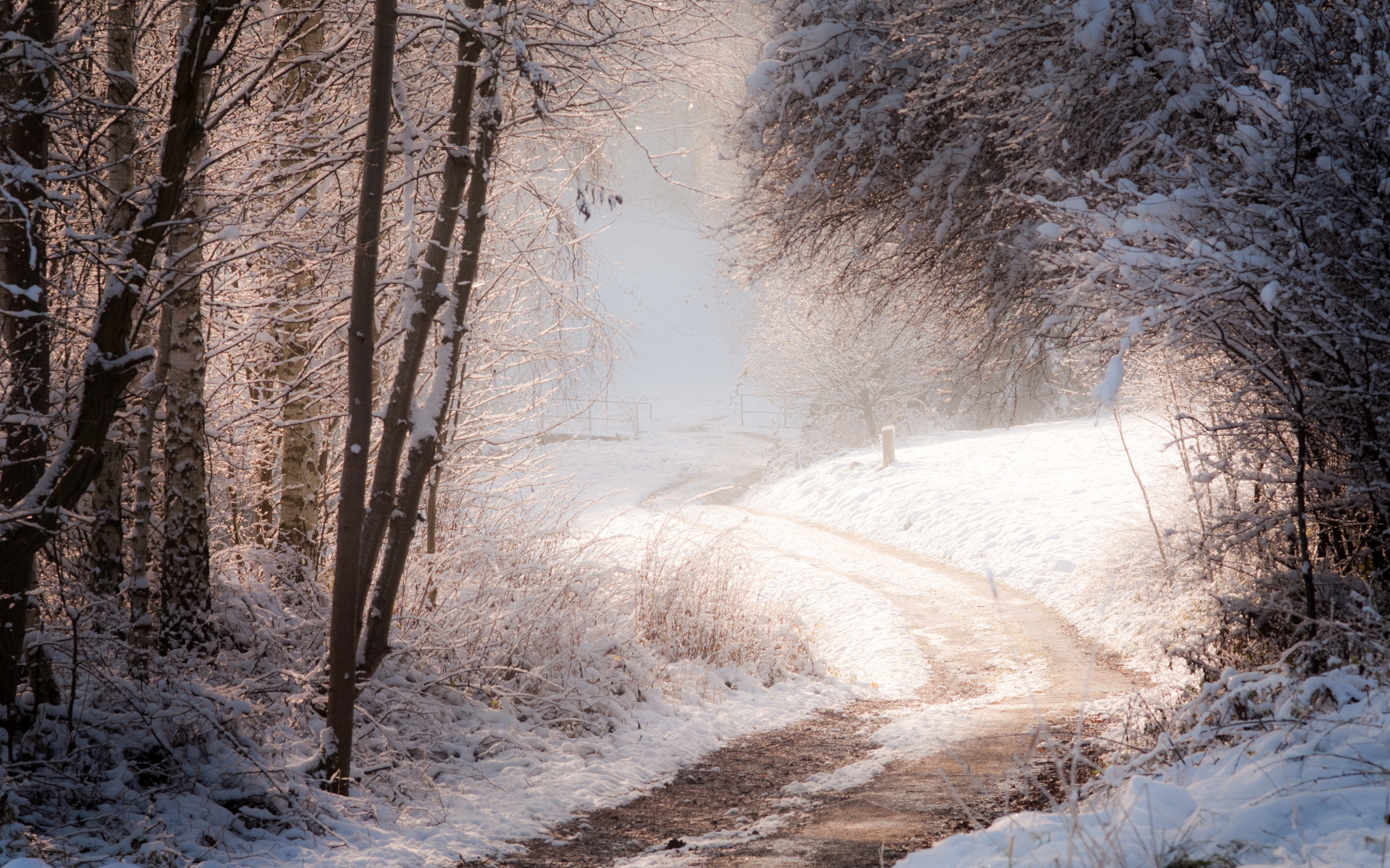Судьба под снегом. Зимняя дорога в лесу. Тропинка в зимнем лесу. Заснеженная дорога в лесу. Снежная дорога в лесу.