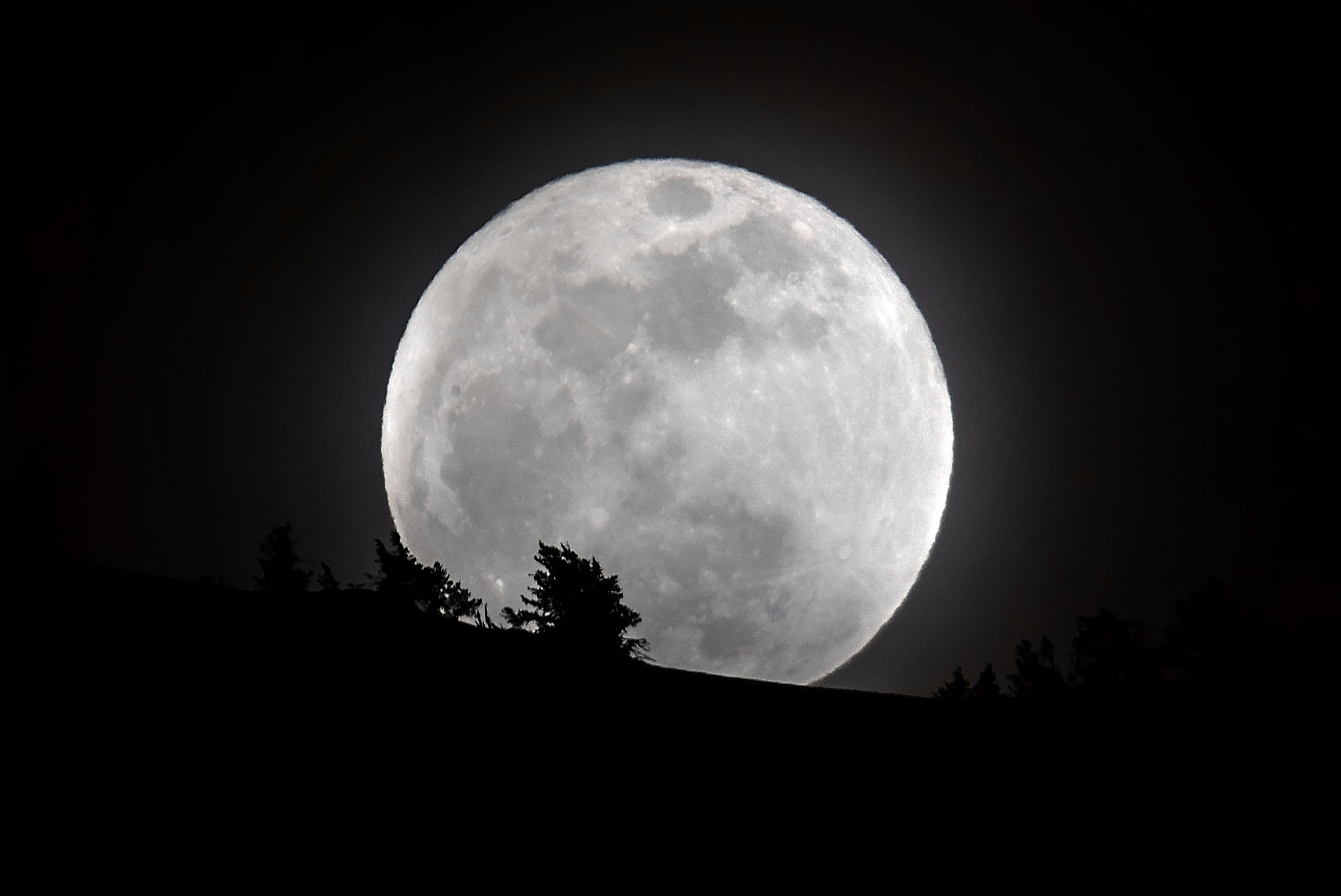 Moon pics. Луна. Красивая Луна. Лу. Огромная Луна.