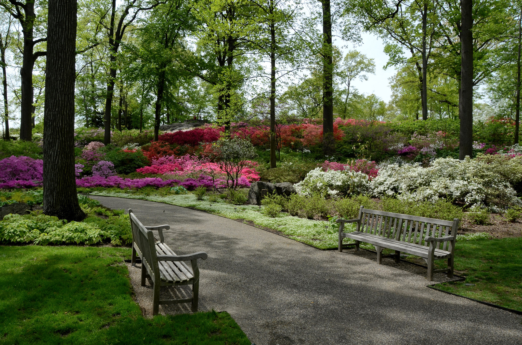 Красивый парк рядом. Сад Шекспира в Центральном парке Нью Йорка. Шекспировский сад в центр парк в Нью-Йорке. Централ парк Нью Йорк лавочки. Хелен парк+ ландшафт.