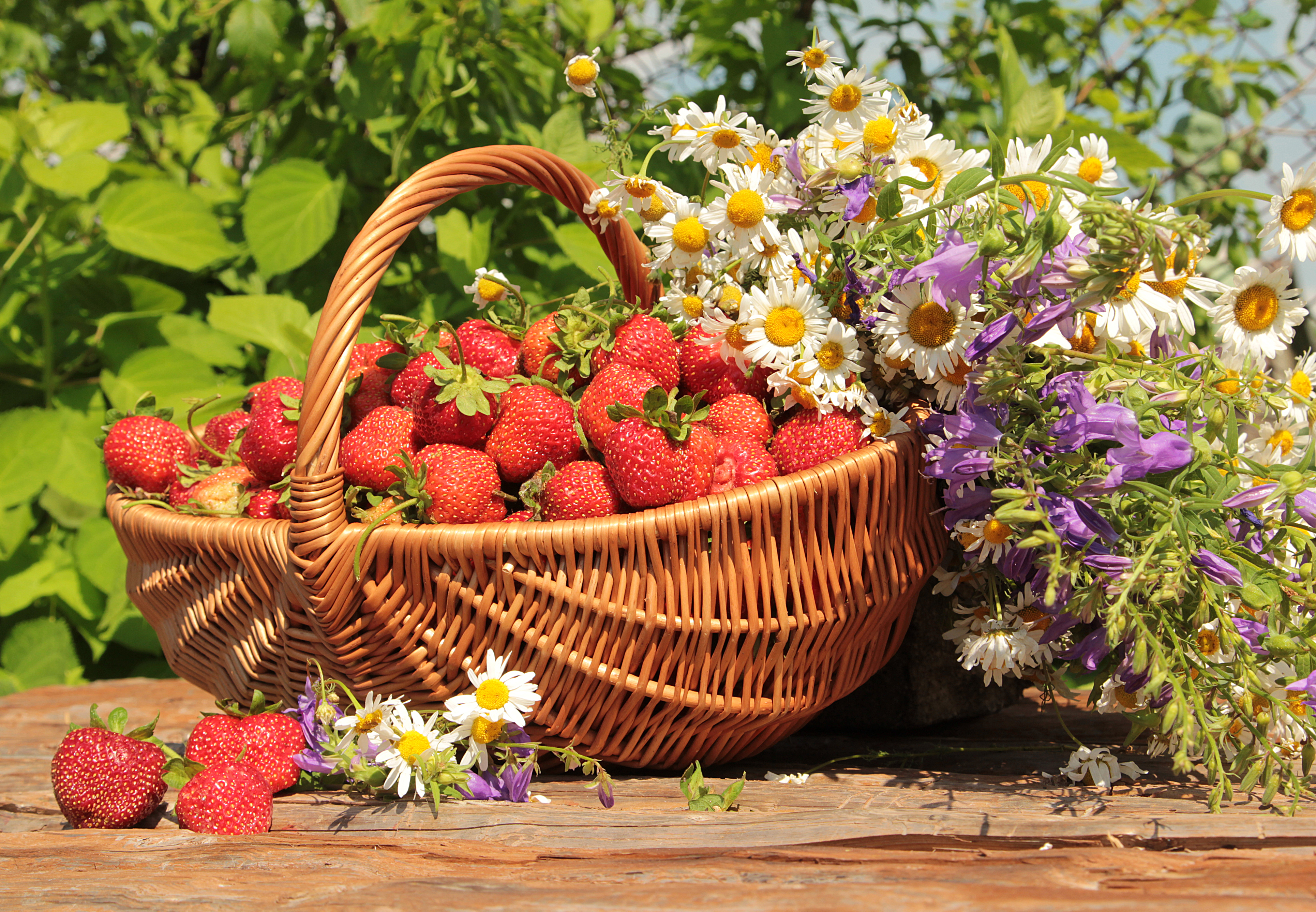 Летний день цветы. Корзина с ягодами и цветами. Ягоды в лукошке. Летние цветы. Корзина с полевыми цветами и ягодами.