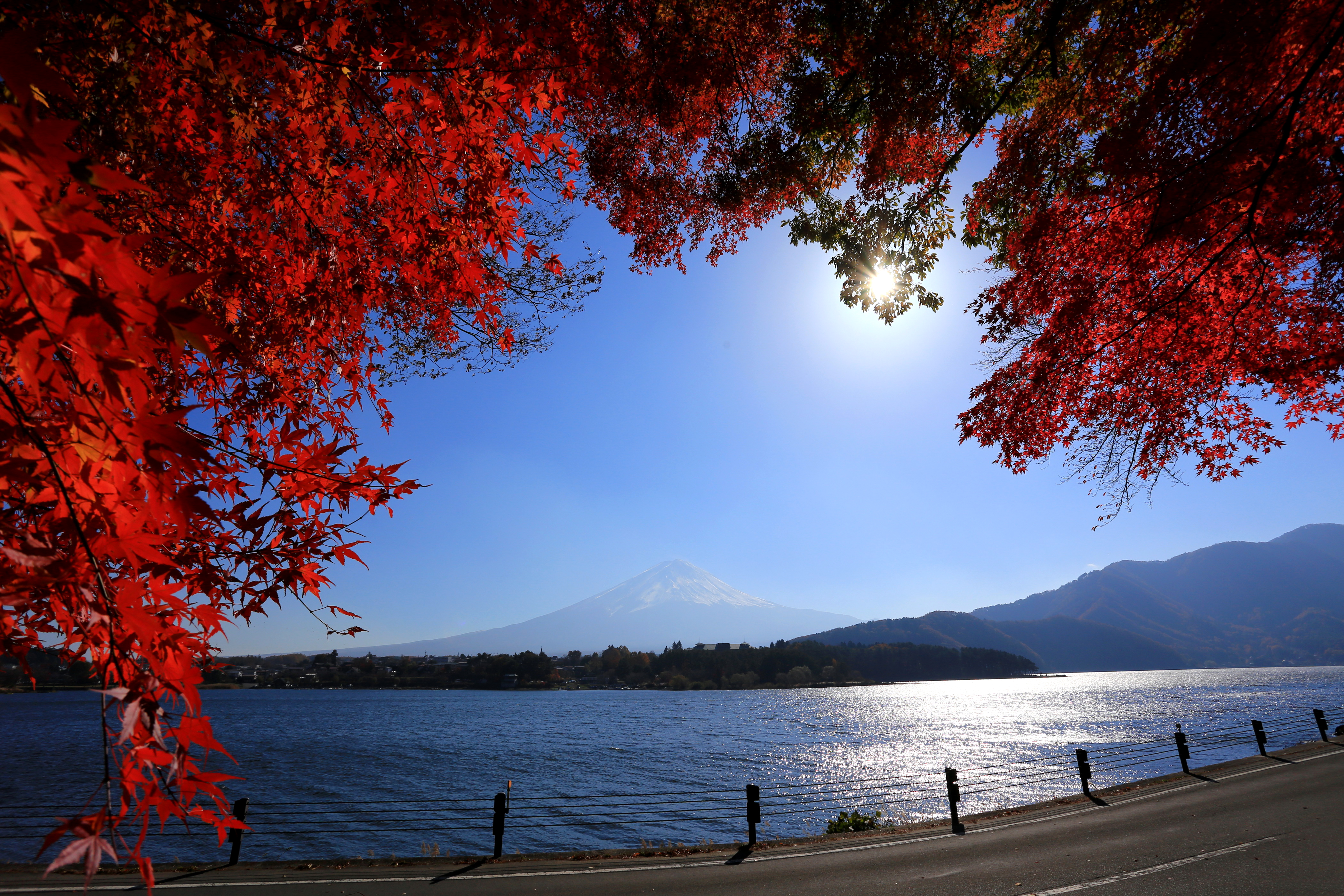 壁紙 40x2800 日本 風景写真 川 富士山 枝 自然 ダウンロード 写真