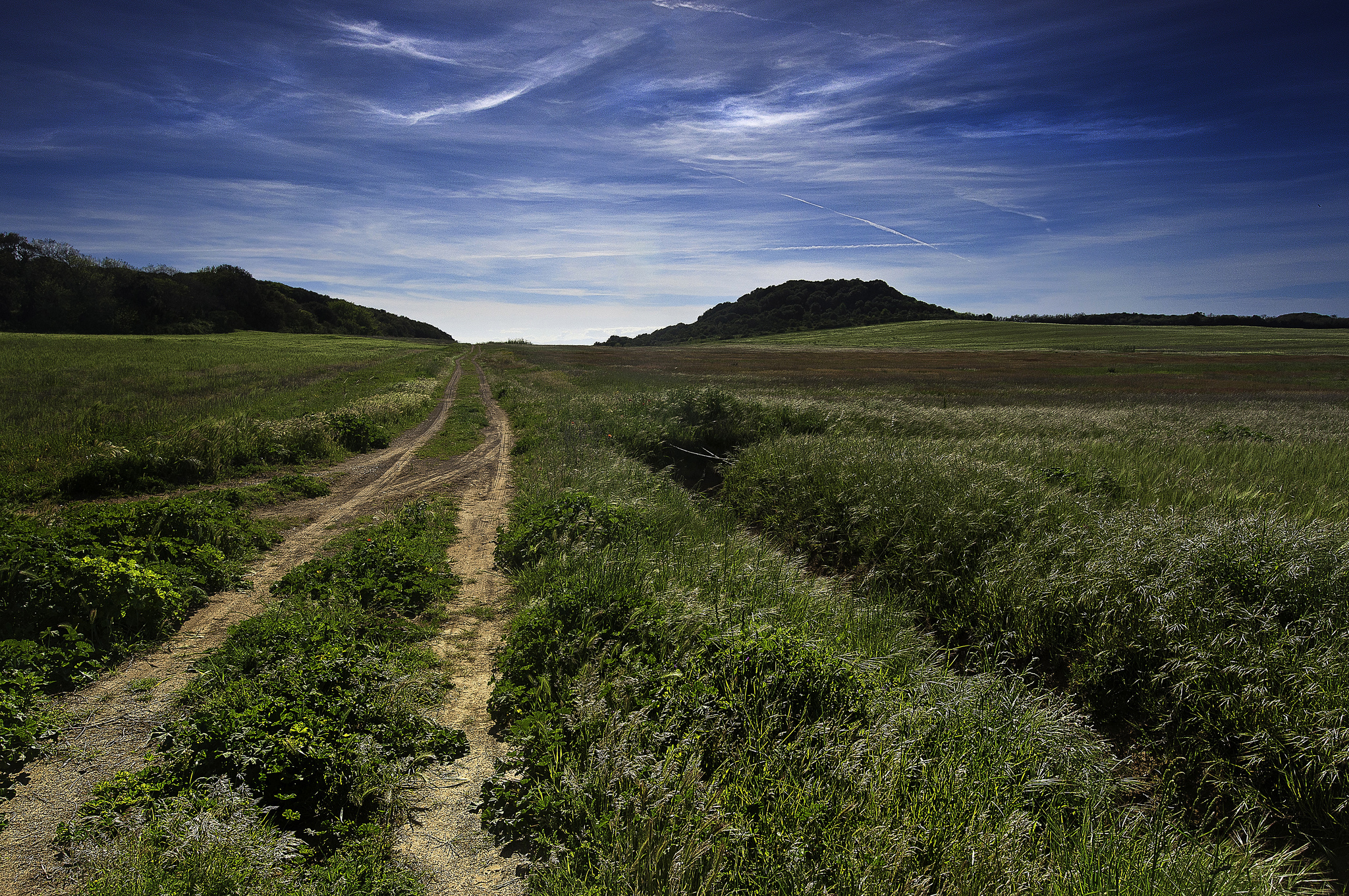 Field roads. Дорога в поле. Тропа в поле. Проселочная дорога. Тропинка в поле.