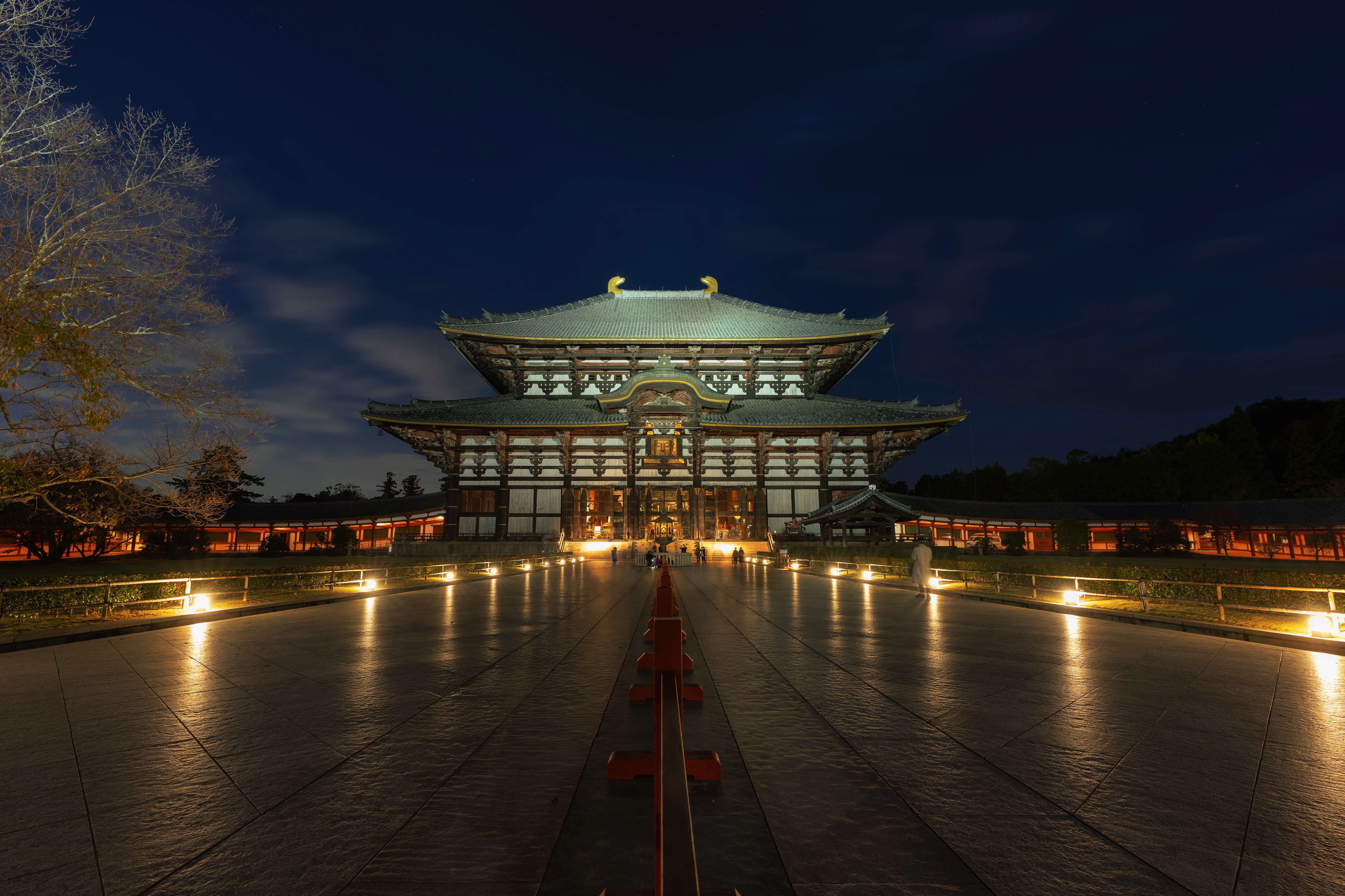 Картинки Япония Todai-JI, Nara храм Ночь Города 6001x4000