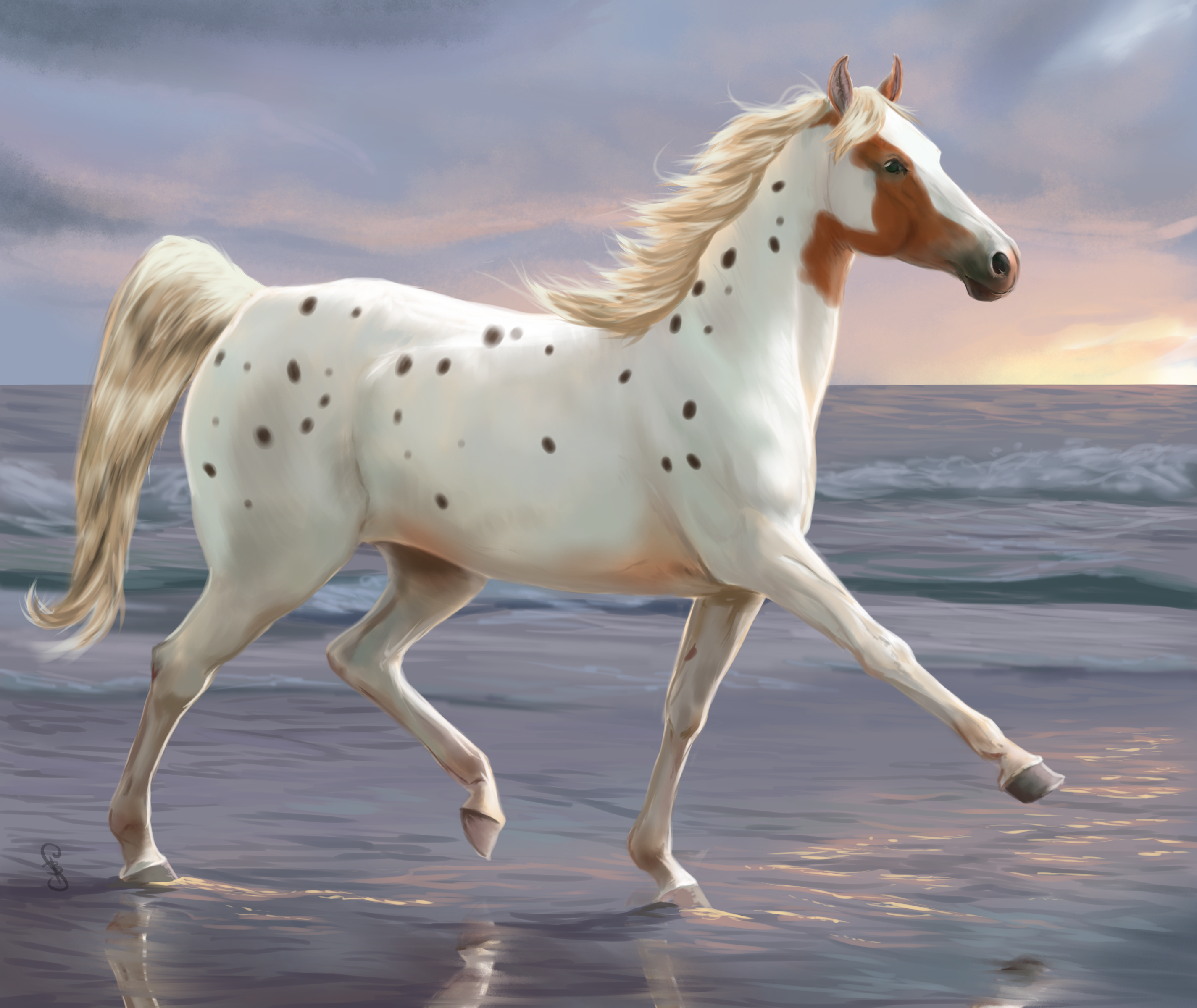 Белоснежные лошадки. Лошади. Белый конь. Белая лошадка. Белая лошадь животное.