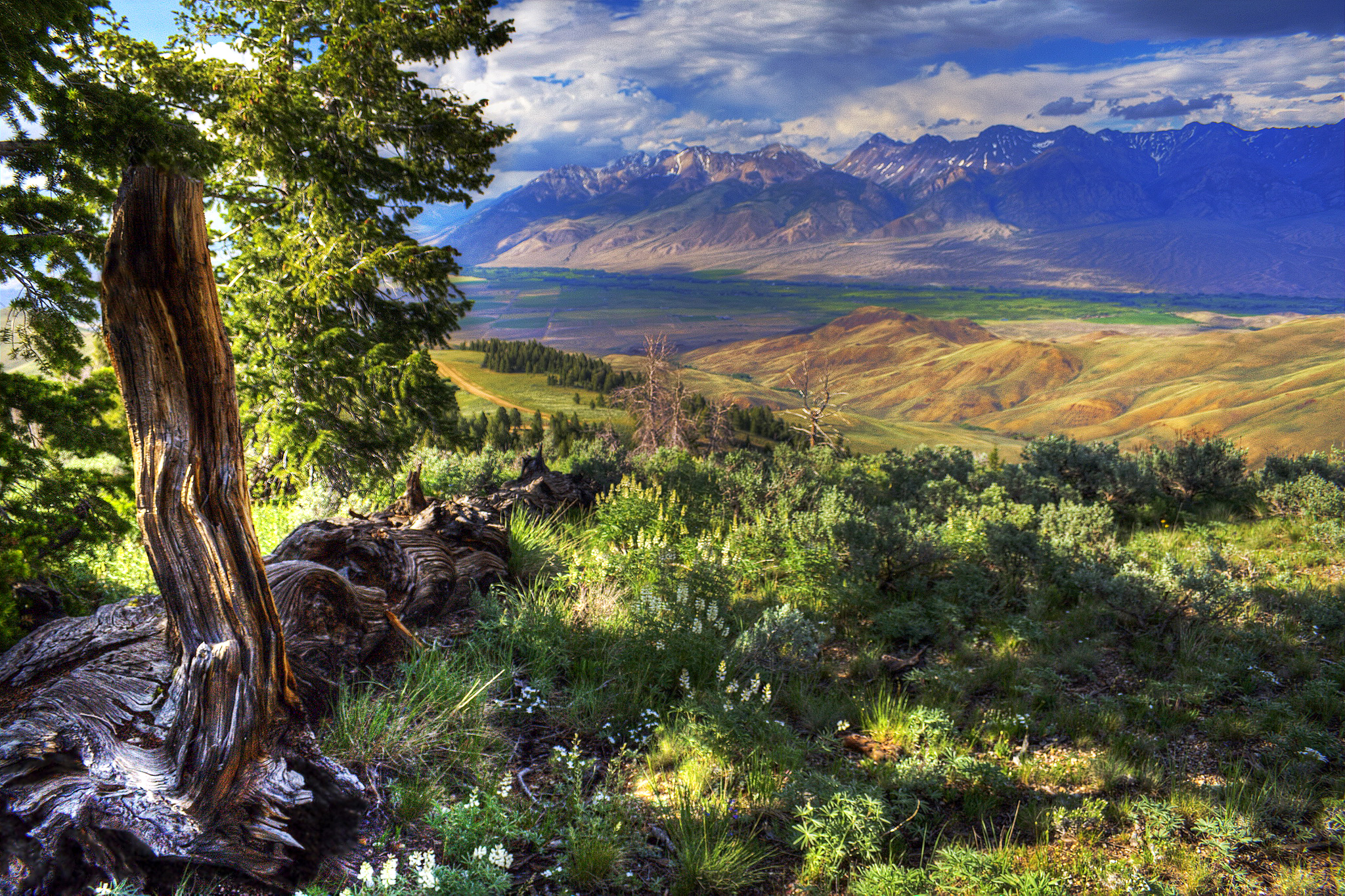 Человек и природа северной америки. Айдахо штат США природа. Штат Айдахо природа. Айдахо горы. Лес штата Айдахо.