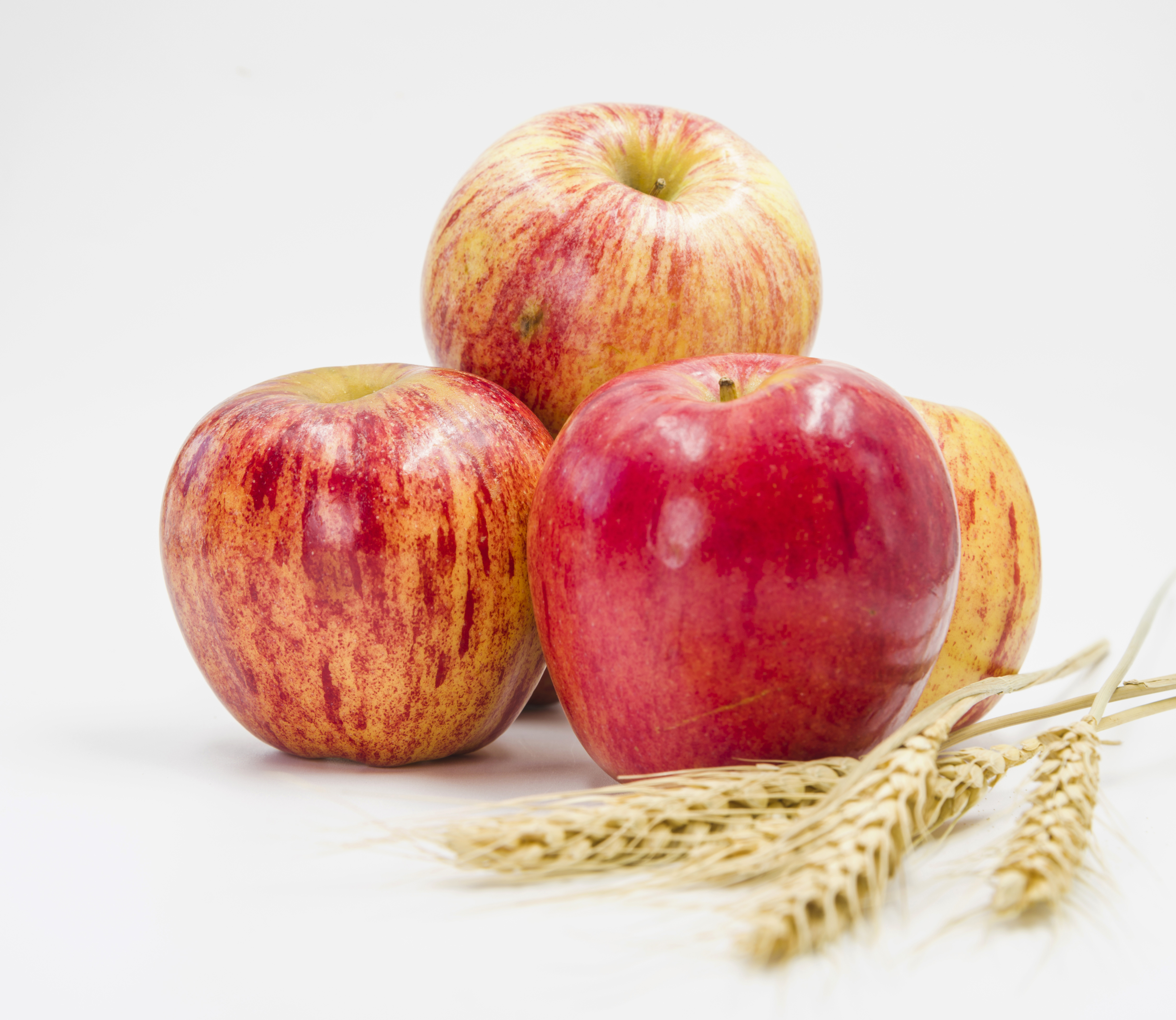 Пшеничные яблоком. Яблоко на белом фоне. Яблоки обои. Яблоня с яблоками. Фото яблока на белом фоне.