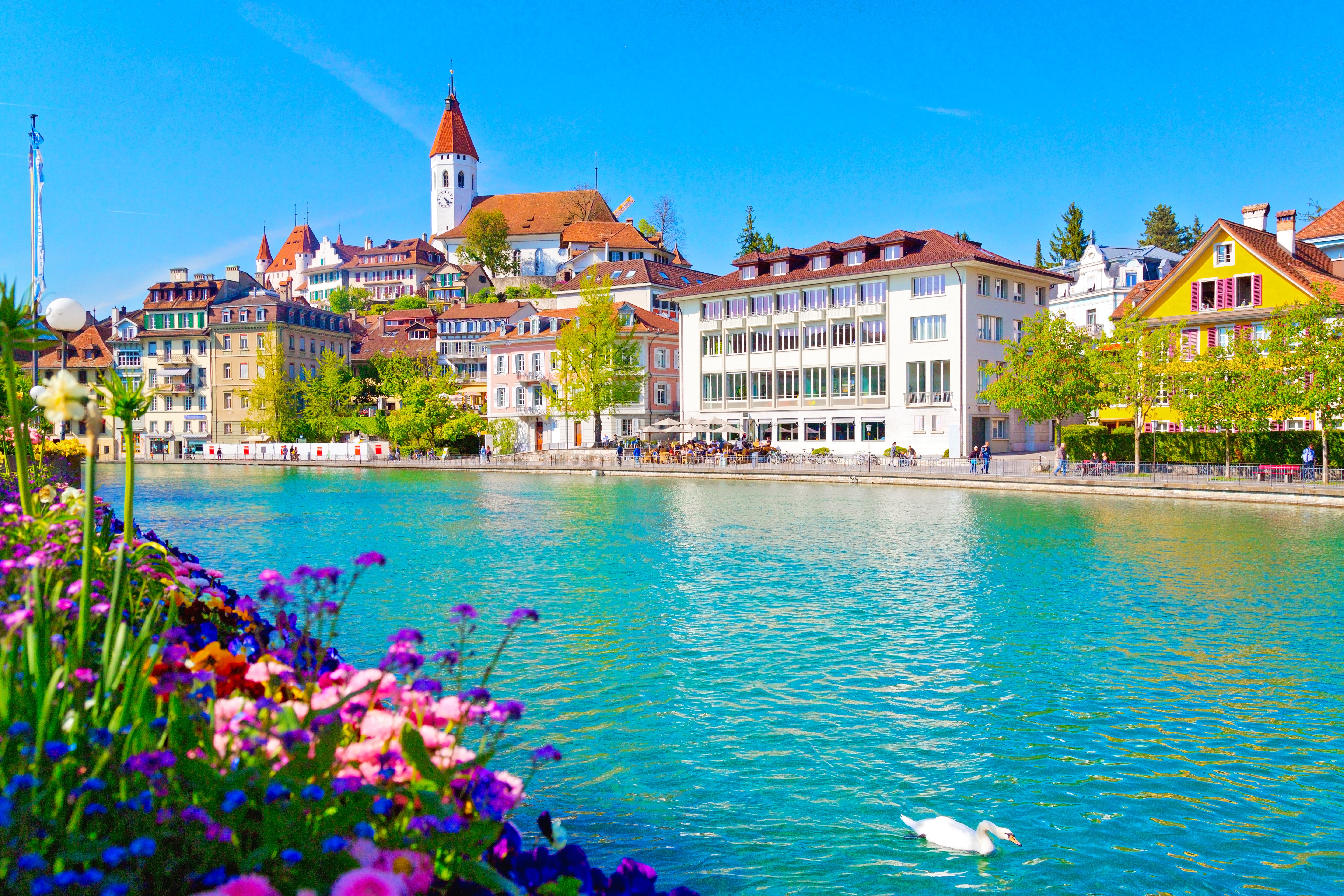 Фото Швейцария Aare River, Thun река Дома Города 5760x3840