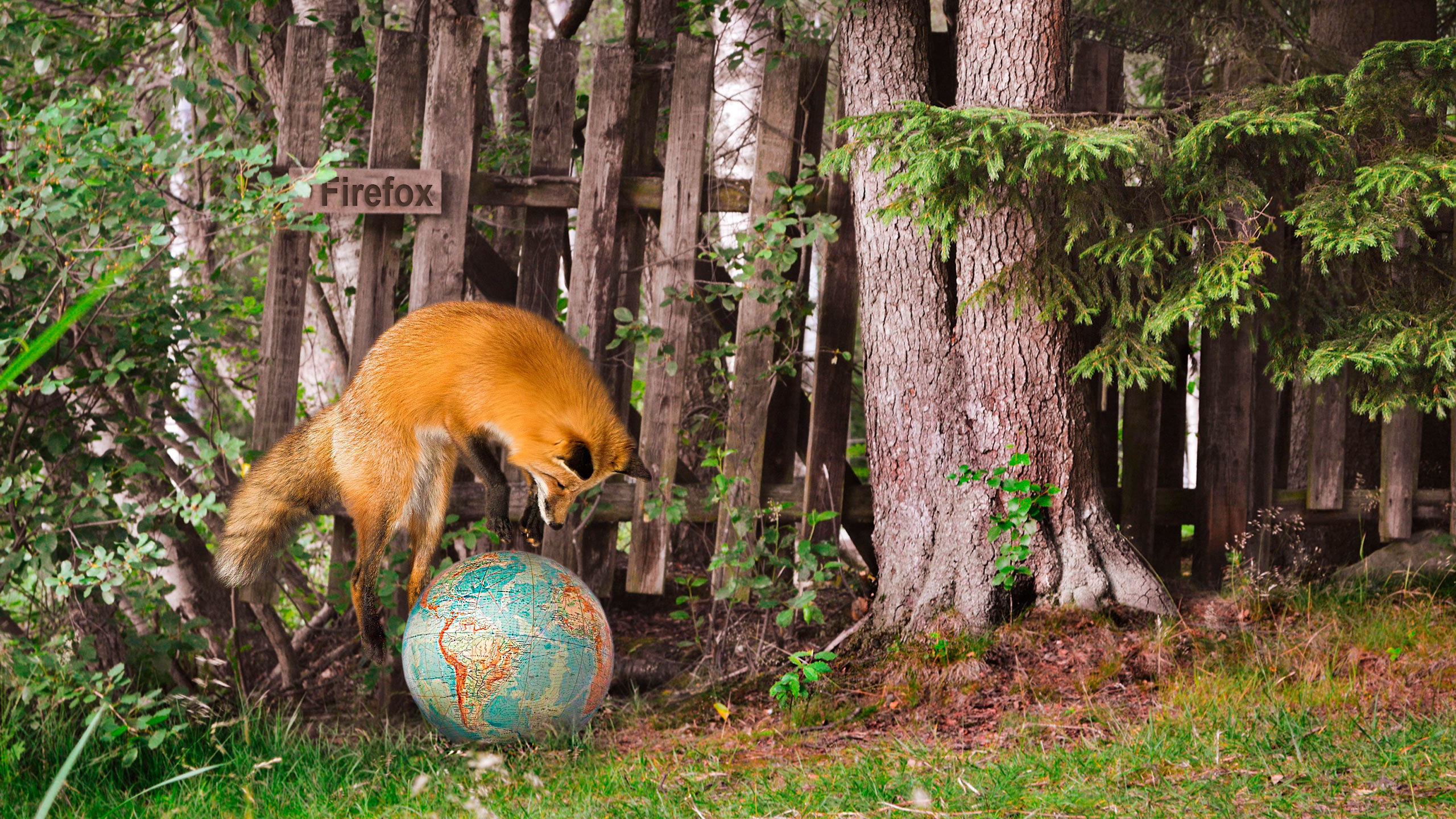 壁紙 2560x1440 キツネ インターネット Firefox 地球儀 飛び 動物 ダウンロード 写真