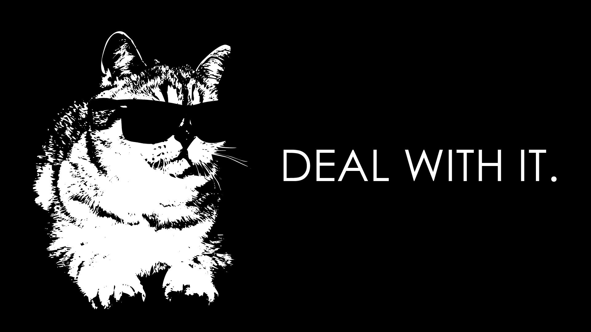 Desktop Hintergrundbilder Hauskatze Deal With IT originelle Brille Tiere Katze Katzen Kreativ kreative ein Tier