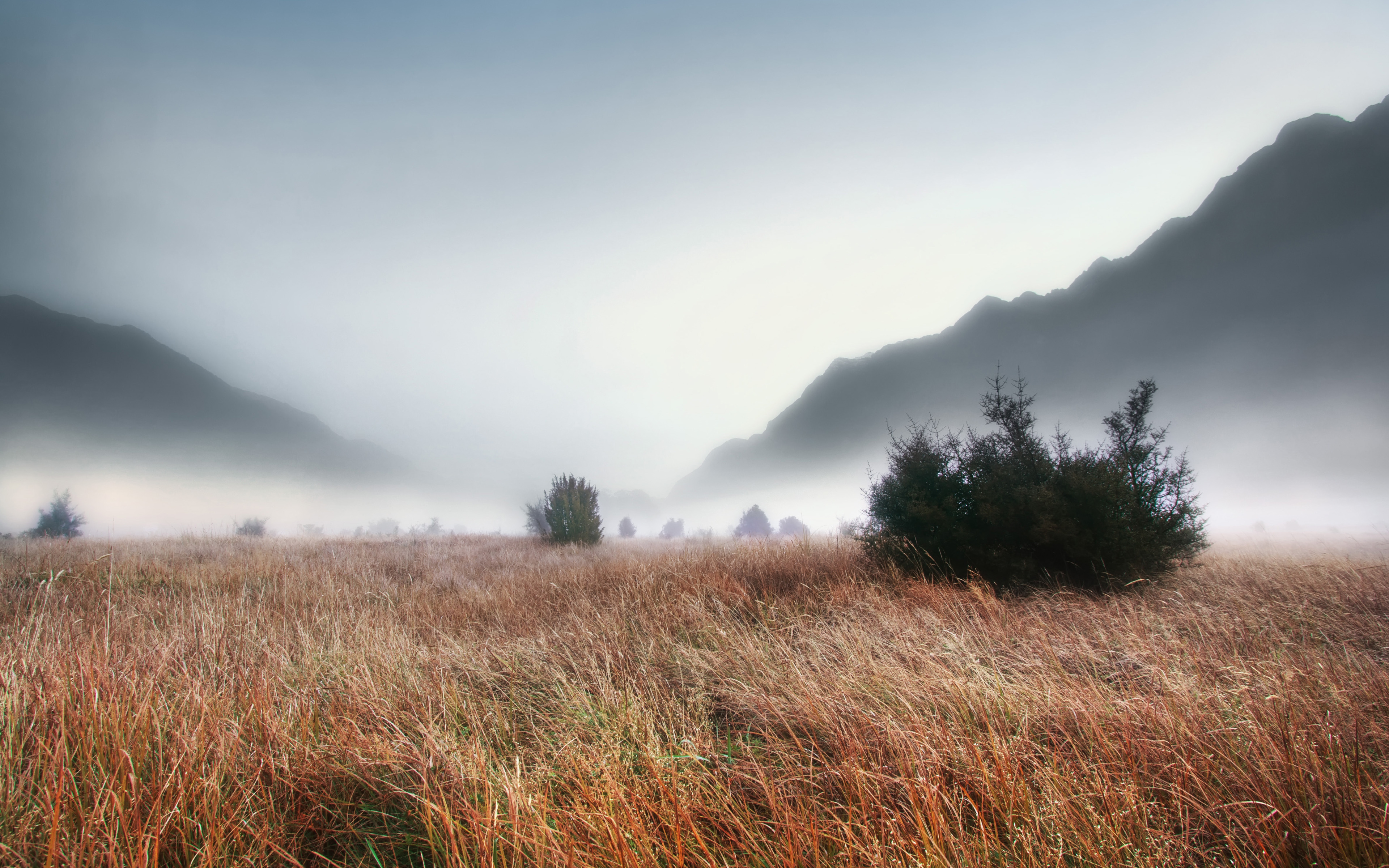 Печальные поляны. Сербия туман. Природа туман. Пейзаж туман. Туман в поле.