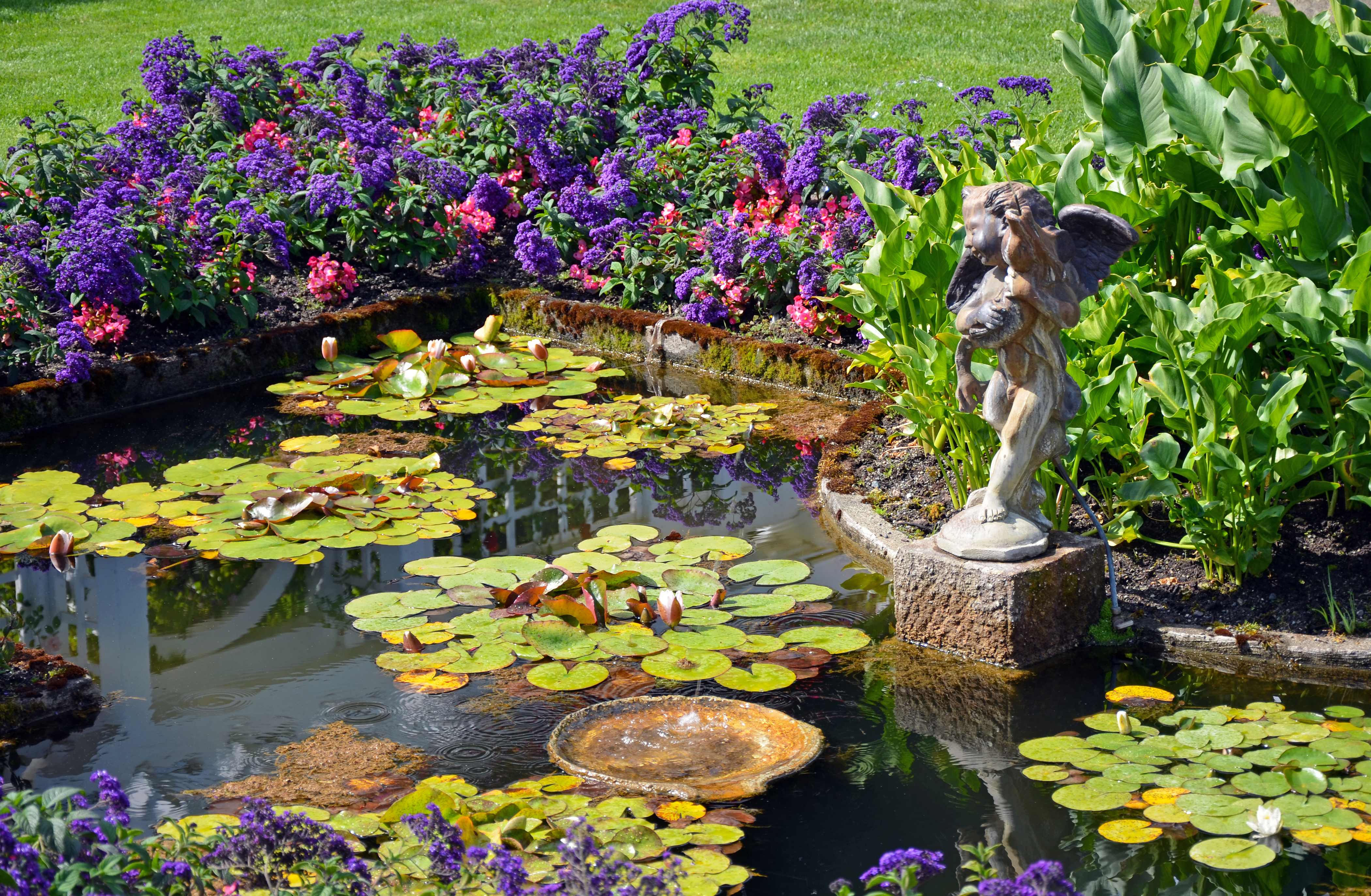 Pond plant. Гарден Понд. Прудик для нимфеи ландшафтном. Водоем в саду. Декоративный прудик в саду.