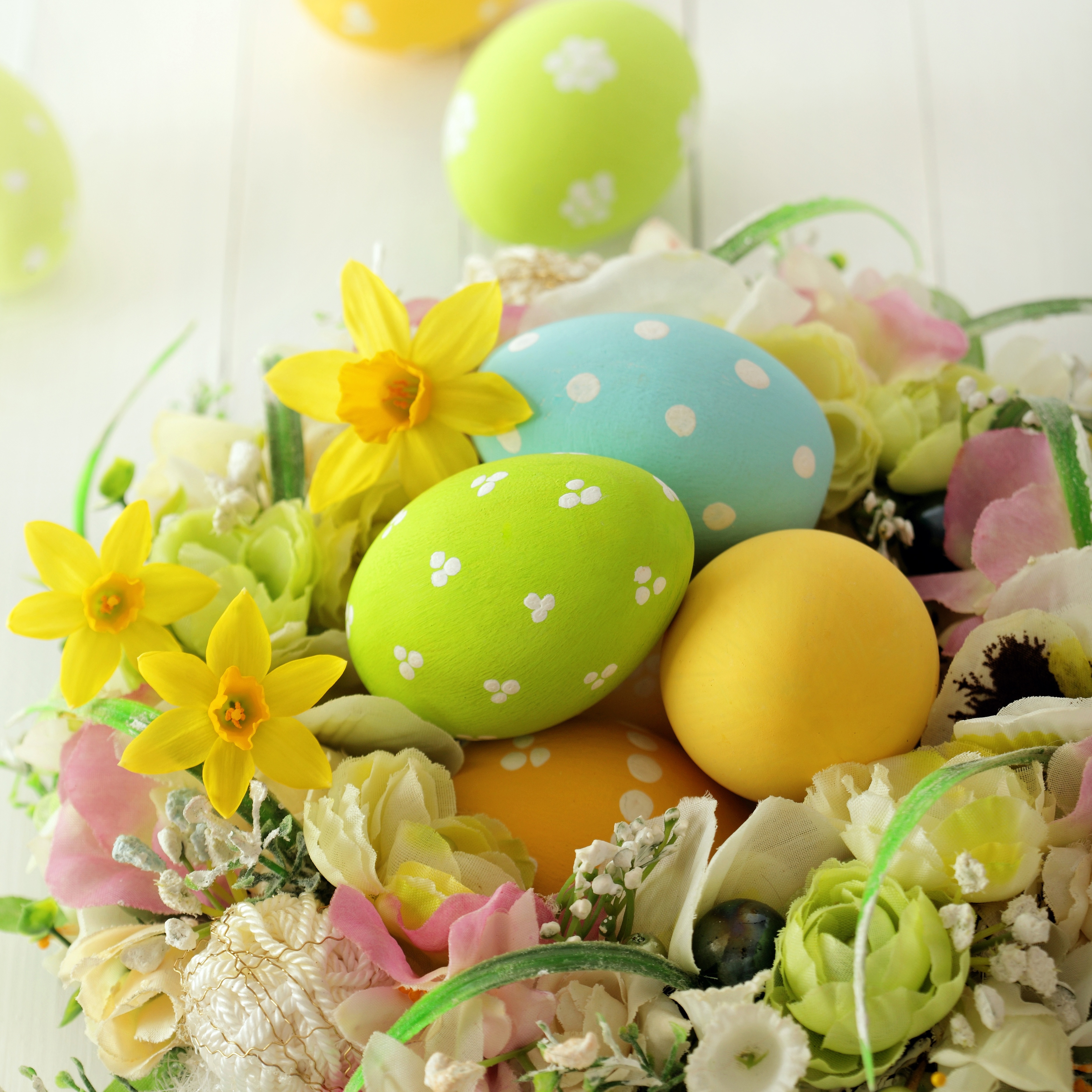 Easter праздник. Пасха. Пасхальные цветы. Пасхальное яйцо. Пасхальный стол.