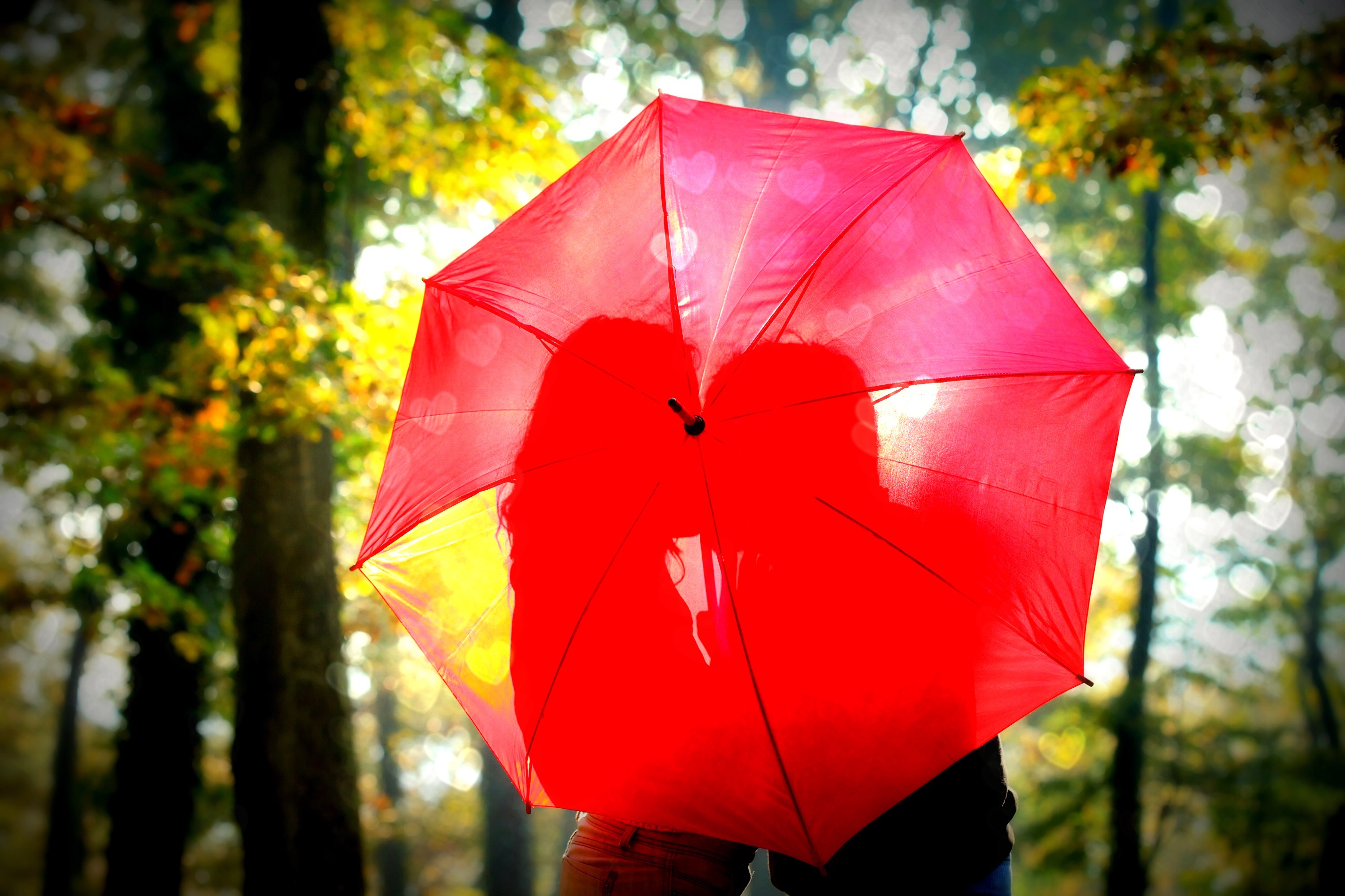 Обои зонтика. Красивый зонт. Красный зонт. Осенний зонт. Под зонтом.