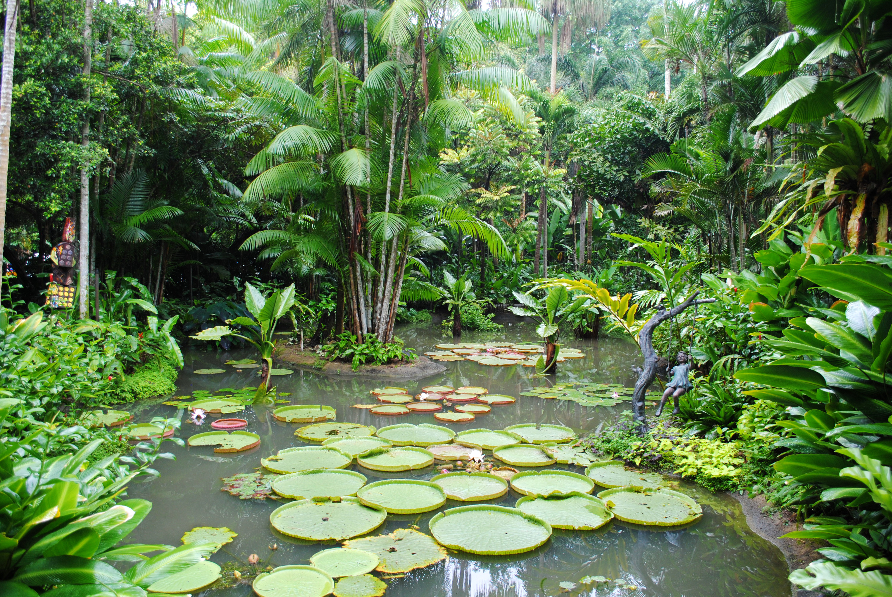 Сад джунгли. Сингапур Ботанический сад. Ботанический сад Сингапура тропический лес. Природа Сингапура Ботанический сад. 4. Сингапурский Ботанический сад, Сингапур.