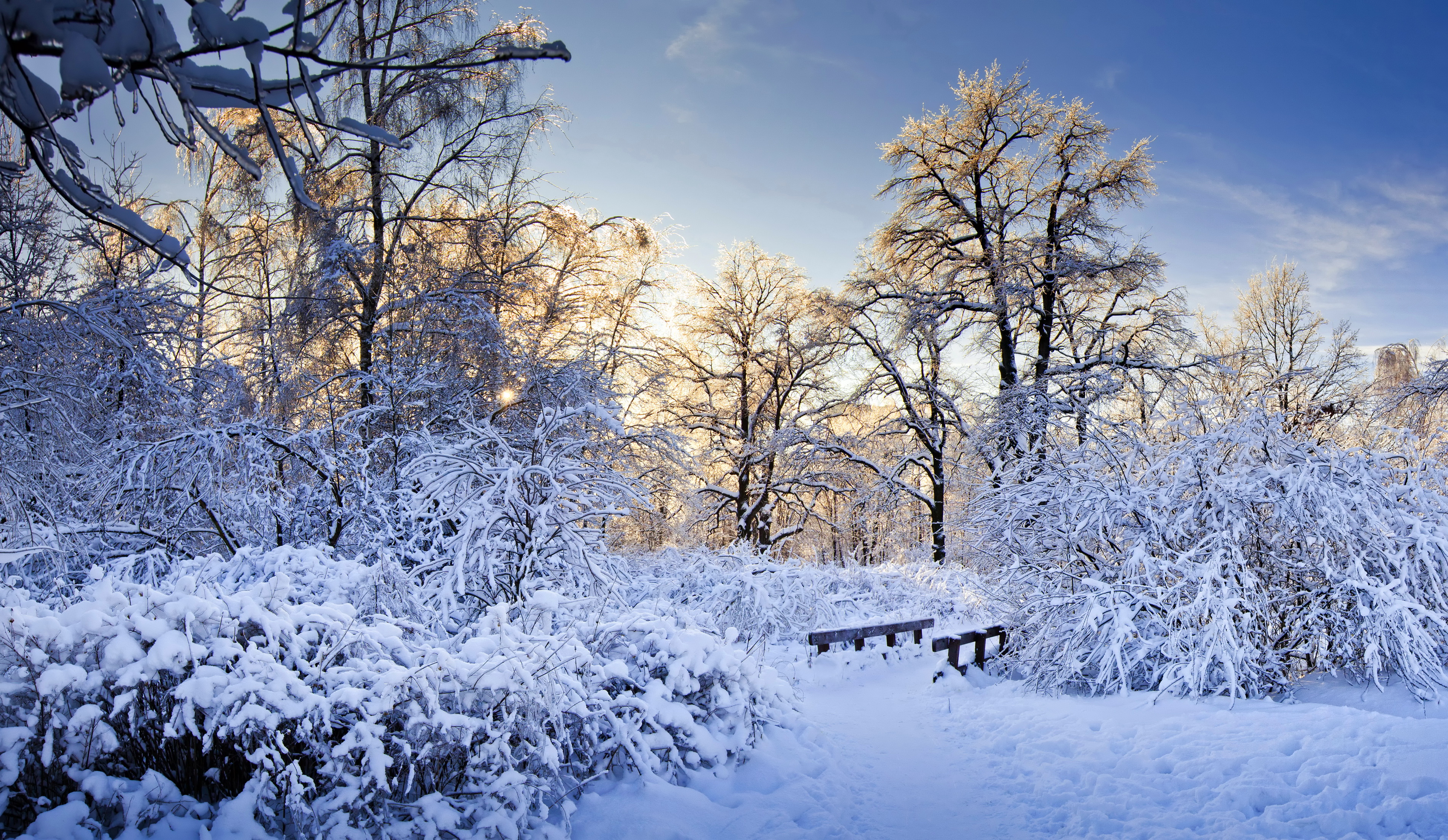 Schneeauto Foto & Bild  jahreszeiten, winter, natur Bilder auf  fotocommunity