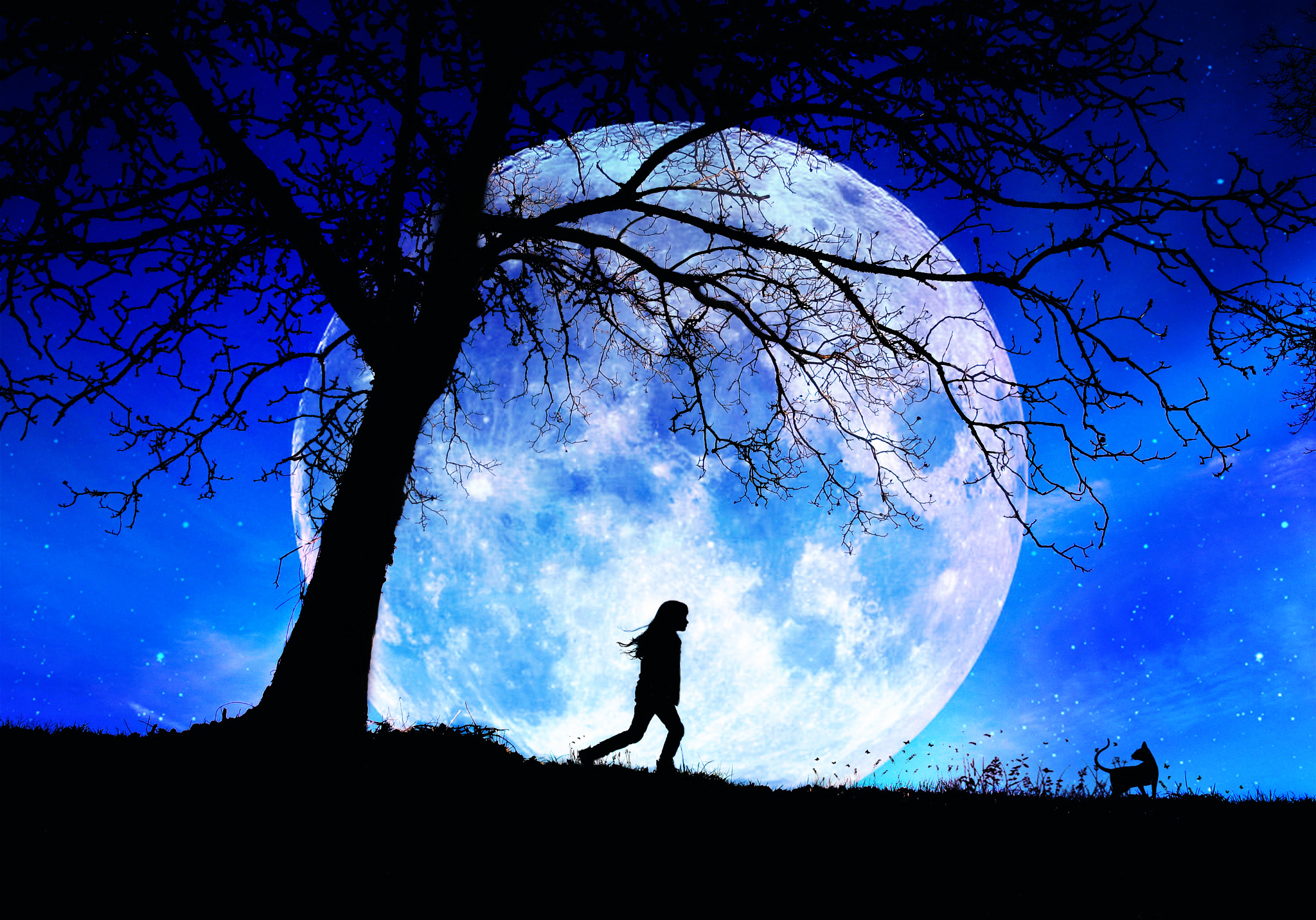 Картинки луны человек. Силуэт на фоне Луны. Человек на фоне Луны. Луна фон. Ночь Луна девушка.