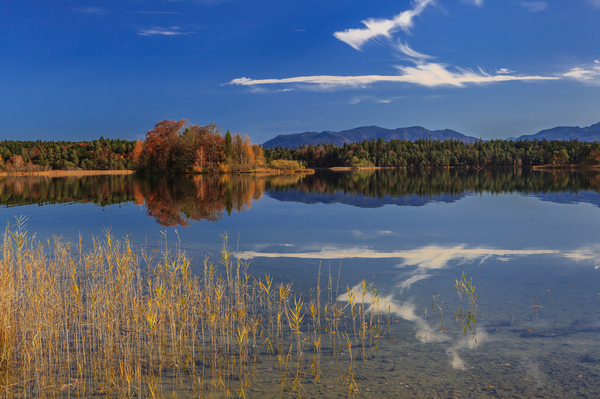 10 русских озер. Озеро зеркальное Алтайский край. Балтымское озеро. Остер озеро. Зеркальное озеро в лесу.