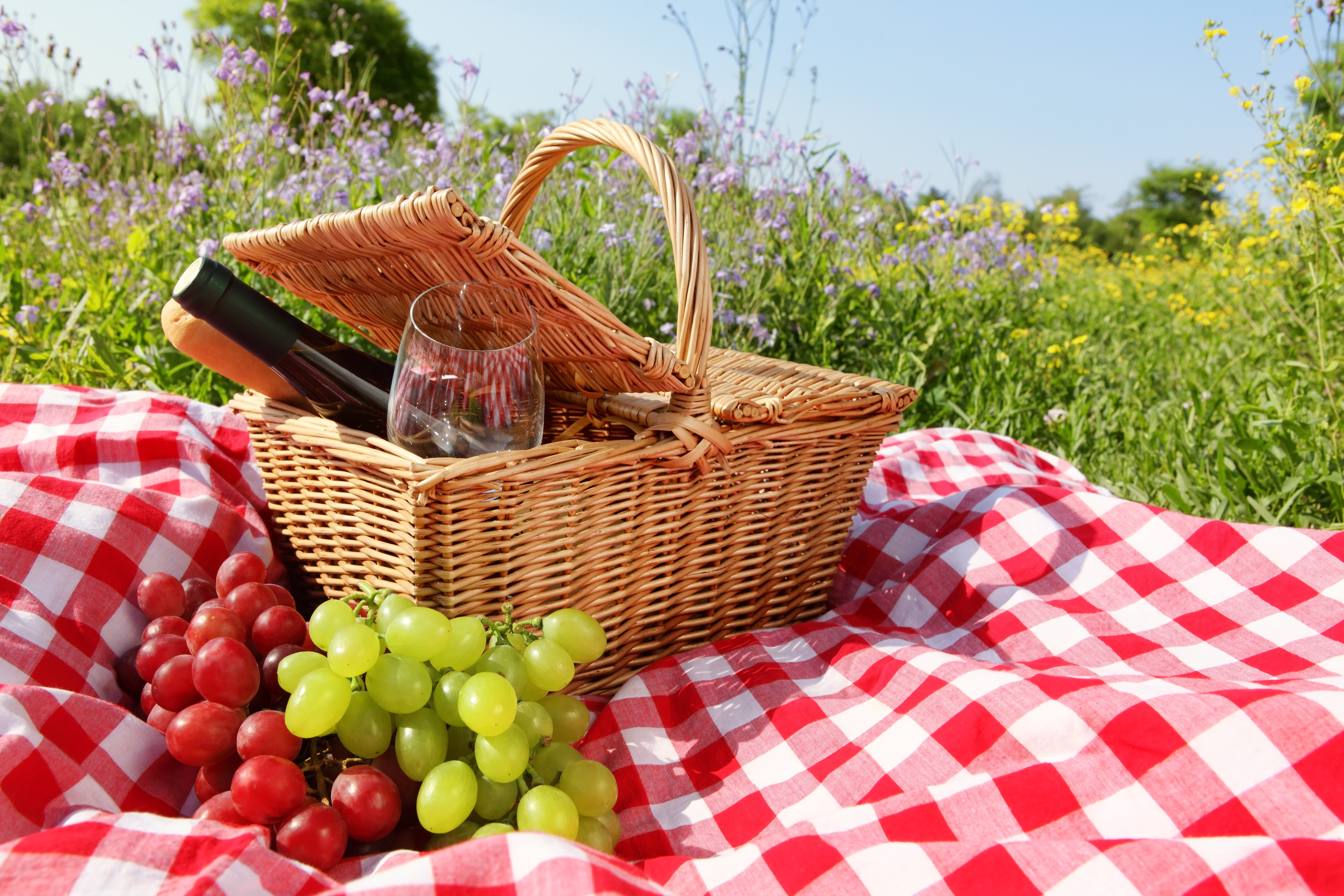 Сегодня праздник души пикник. Пикник на природе. Корзинка для пикника. Корзинка для пикника с едой. Пикник с фруктами.