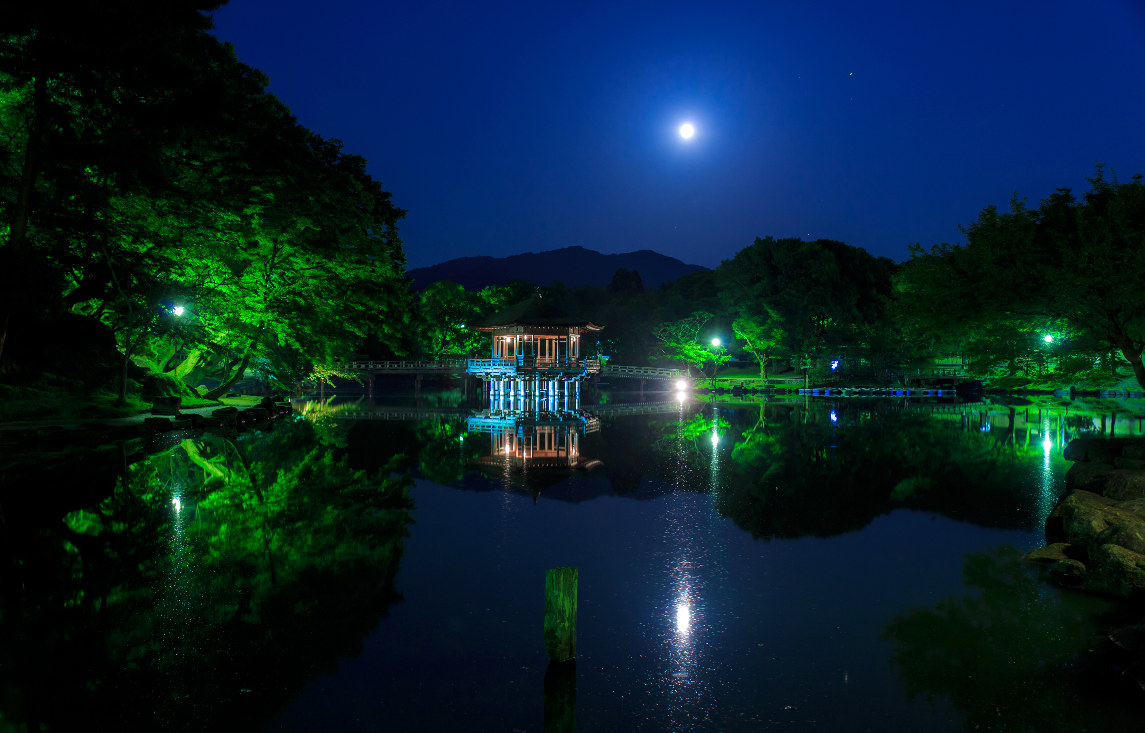 壁紙 4000x2560 日本 公園 池 パゴダ Ukimido 木 夜 月 自然 ダウンロード 写真
