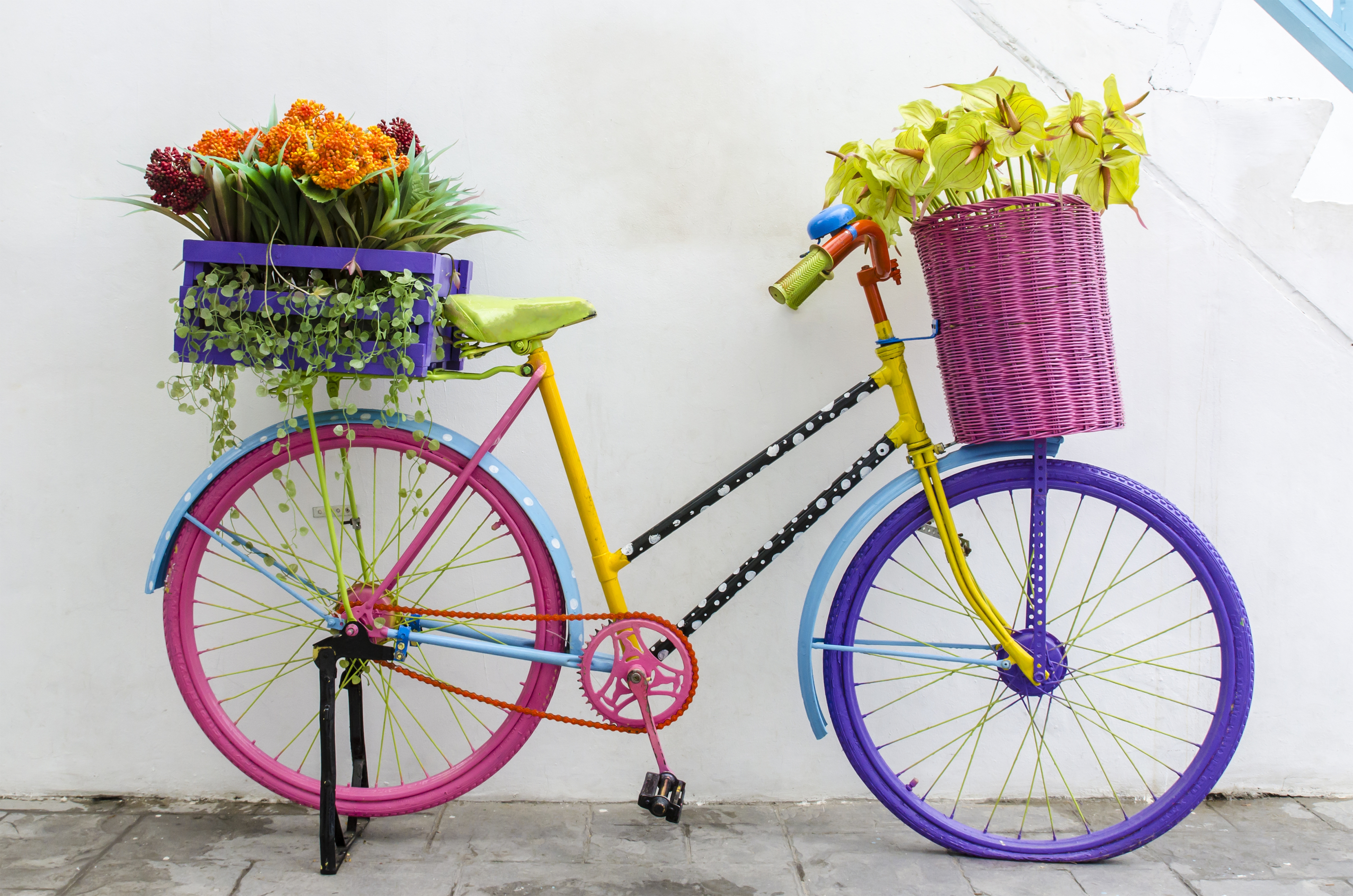 Www pent ru. Красивые велосипеды. Велосипед с цветами. Велосипед с корзинкой. Велосипед с корзиной цветов.