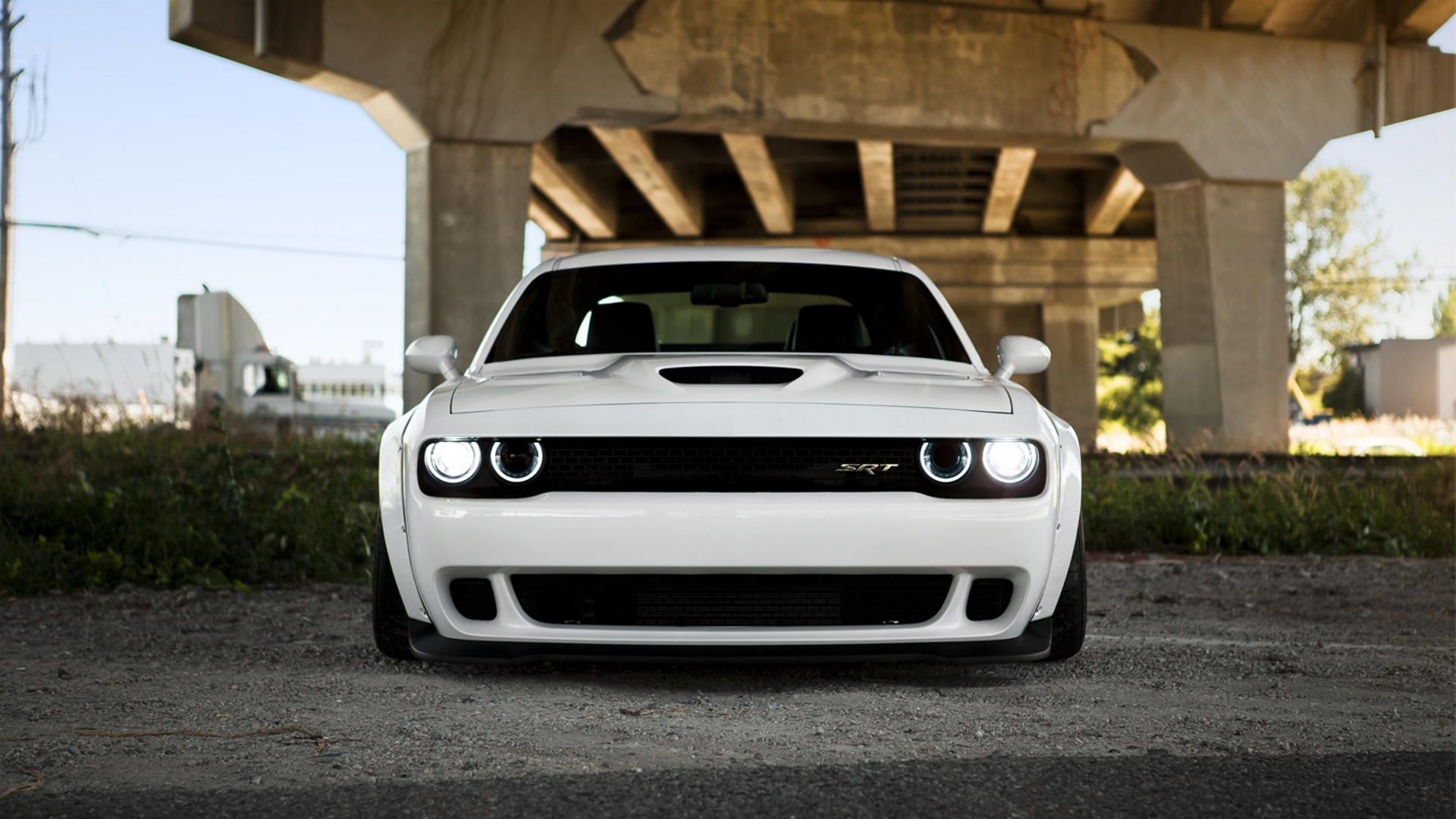 Картинка Dodge 2014 Challenger SRT Hellcat белая машина 1920x1080