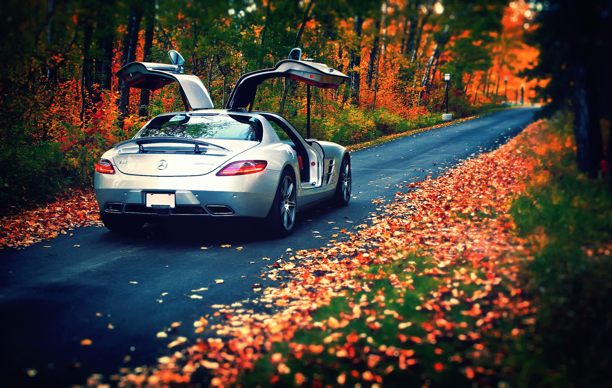 Машины красиво едут. Красивые пейзажи с машинами. Машина на природе. Машина осень. Красивые машины на природе.