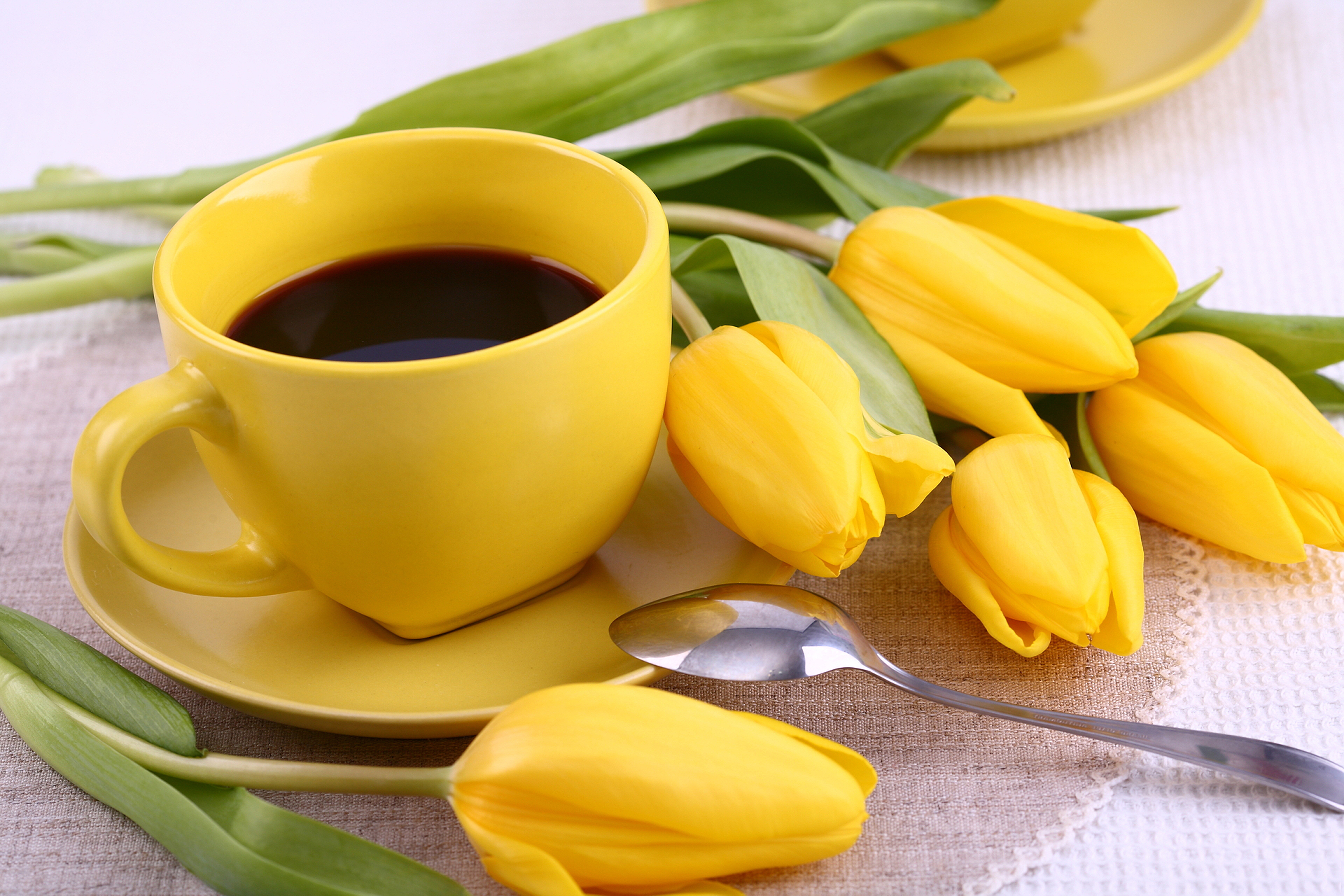 Доброе воскресное весеннее утро и хорошего дня. Тюльпаны. Доброе утро тюльпаны и кофе. Желтые тюльпаны и кофе. Желтые тюльпаны.