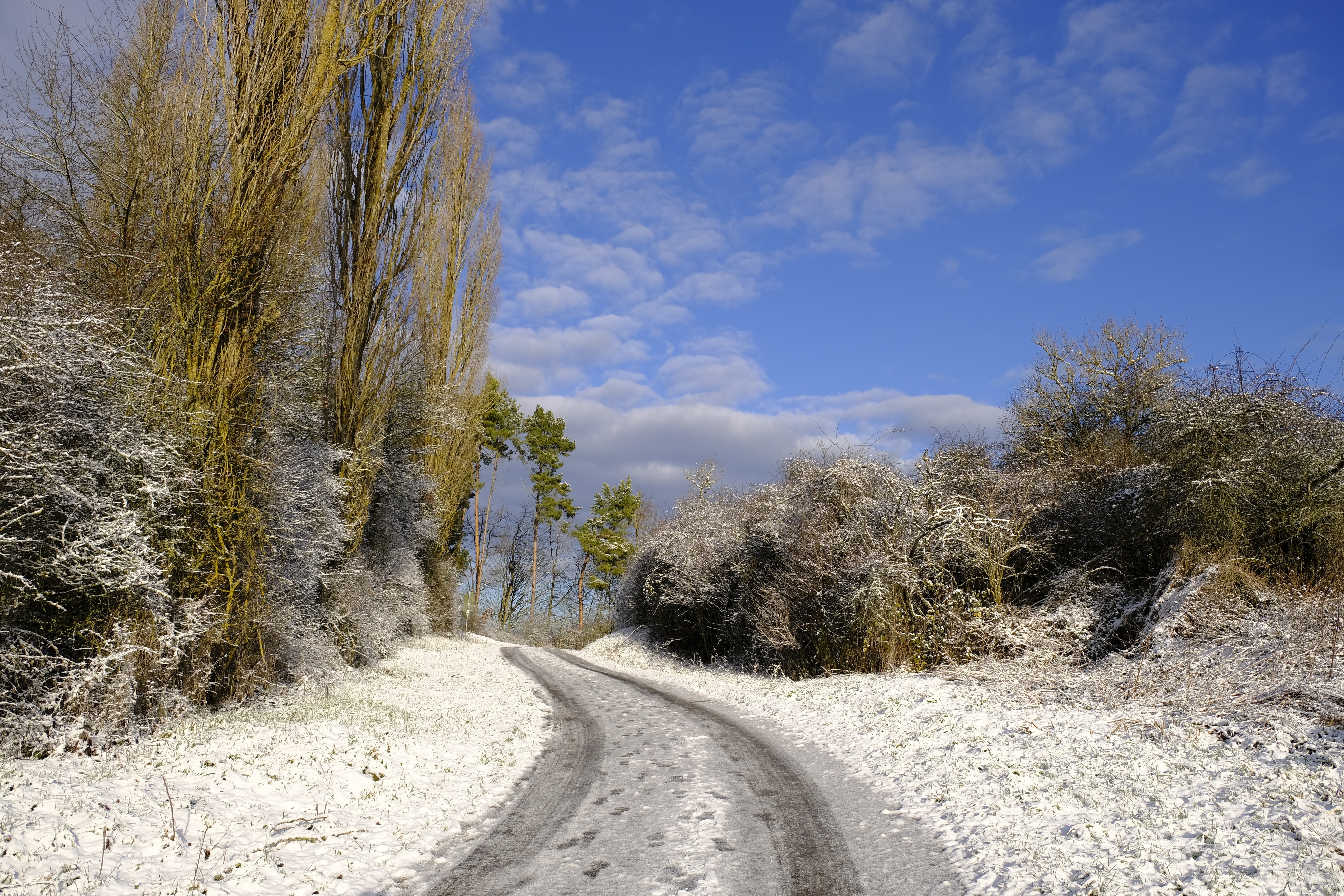 Дорога без снега. Зима дорога. Заснеженная грунтовая дорога. Зимняя грунтовая дорога. Грунтовые дороги зимой.