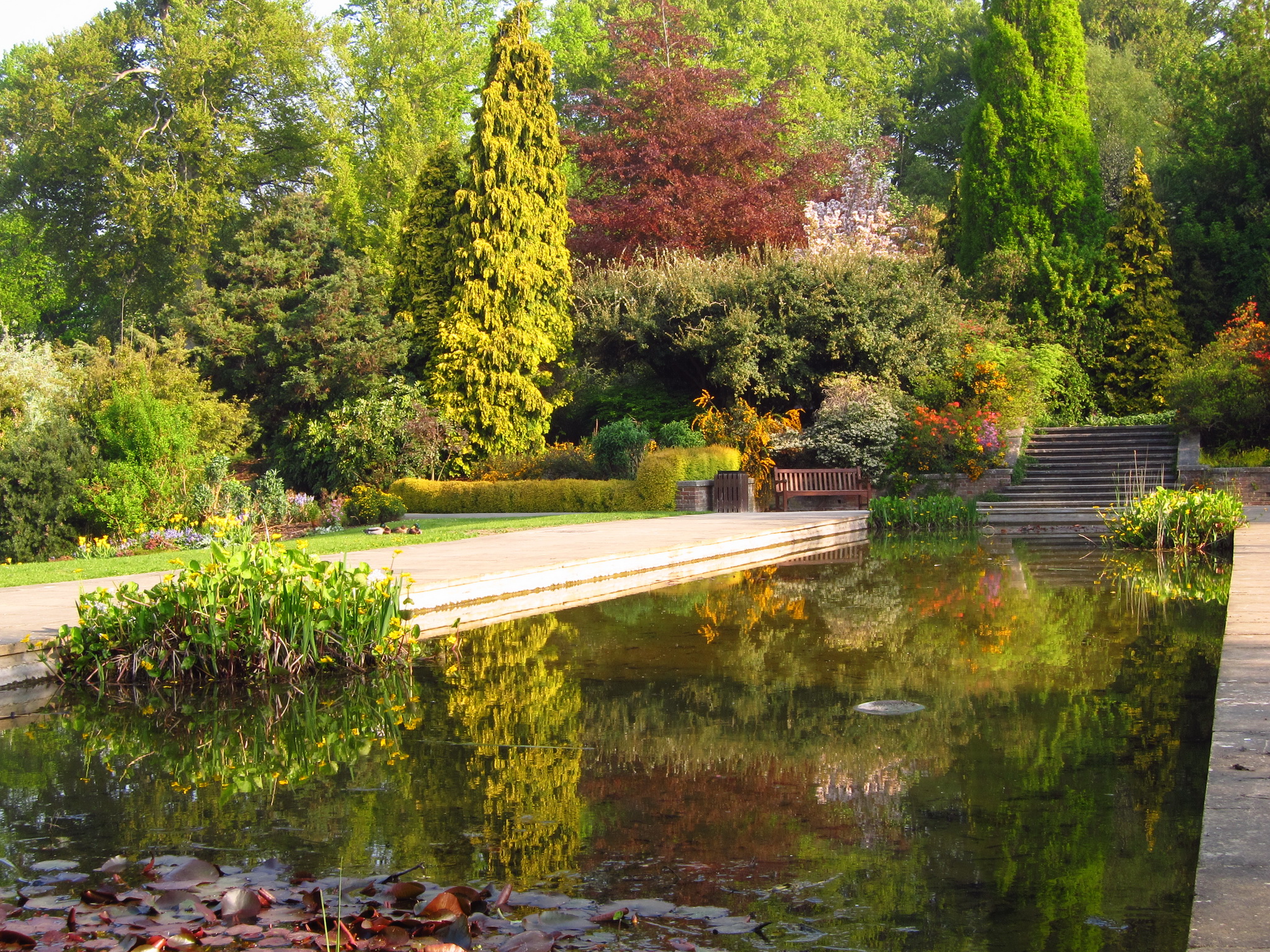 Блог сада. Гарден парк Англия. Хилл Гарден Лондон. Сад Трокадеро пруд. Ботанический сад в Англии.