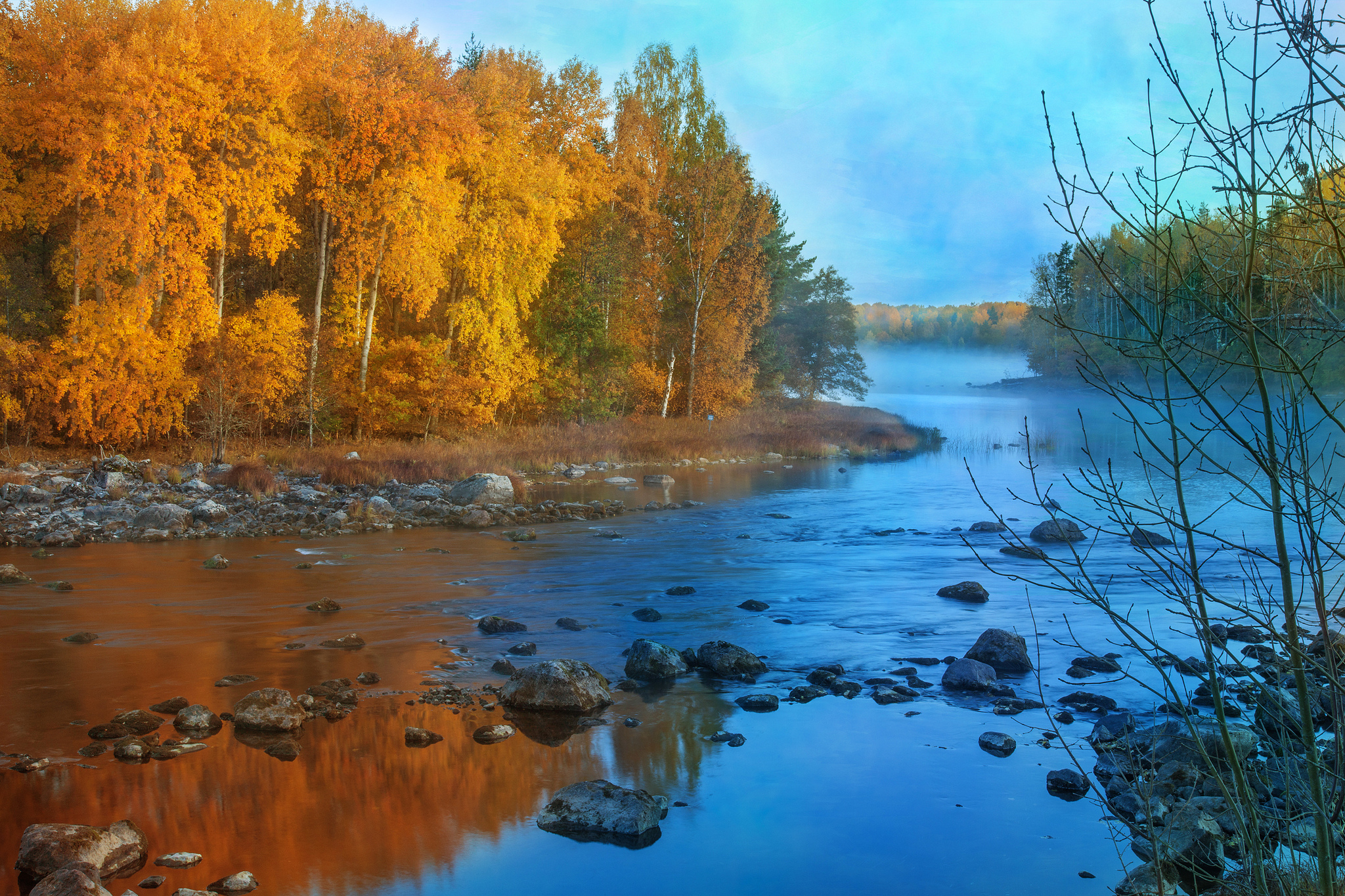 Река справа. Река Тулва осень. Река Ухра осень. Поназырево осень река. Природа России осенью- лес река.