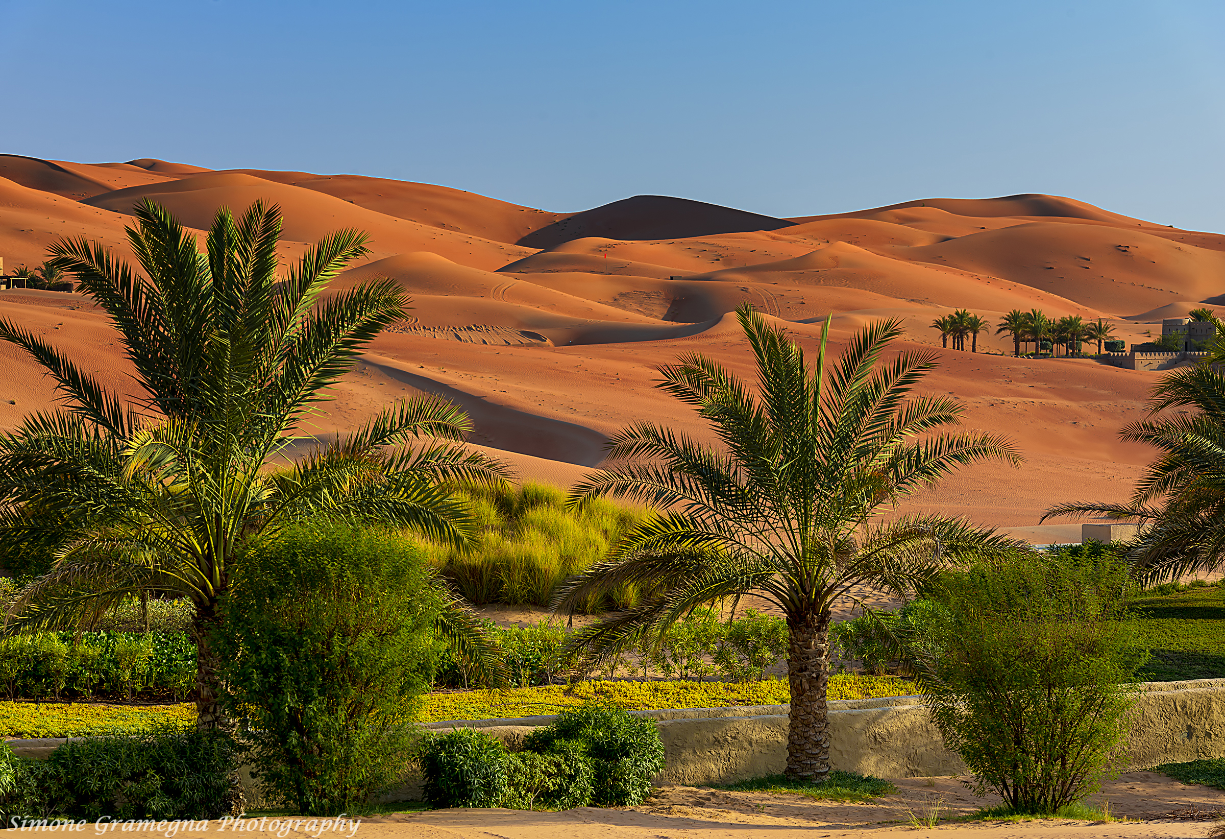 壁紙 2400x1643 アラブ首長国連邦 熱帯 砂漠 Abu Dhabi 丘 ヤシ 低木 自然 ダウンロード 写真