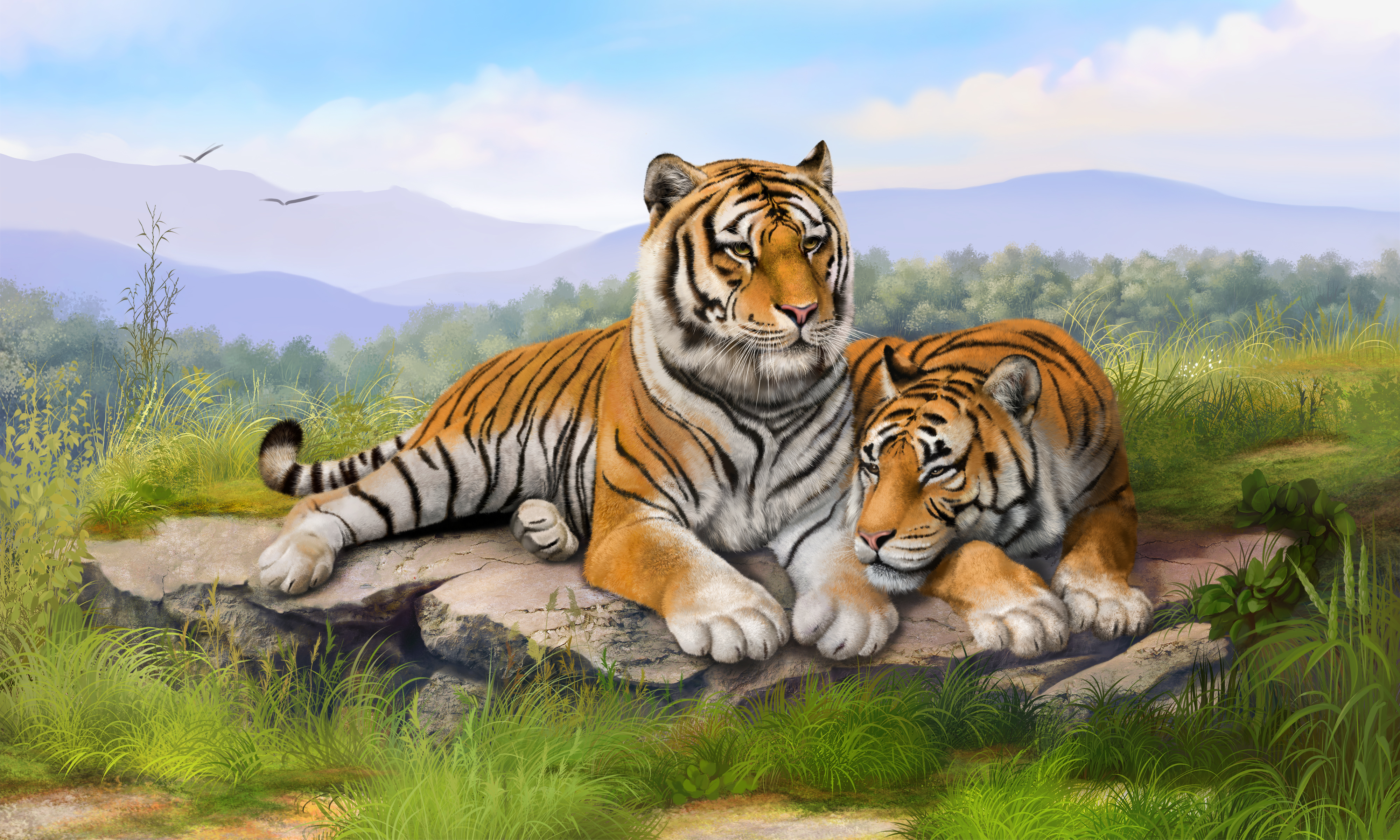 Tapeta na pulpit Tygrysy Wielkie koty dwóch Trawa Zwierzęta 4000x2400 tygrys azjatycki dwie Dwa 2 dwoje zwierzę