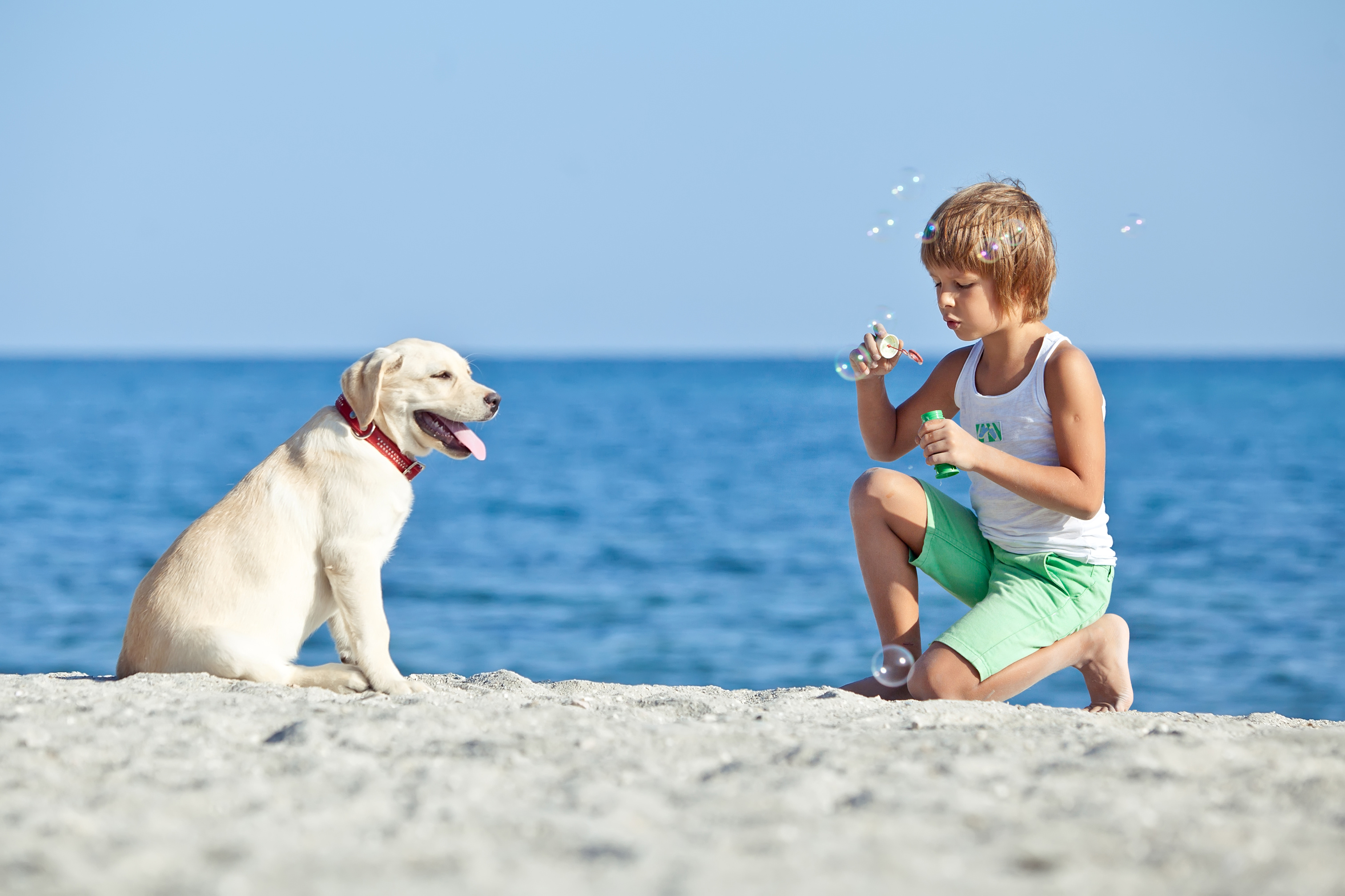 Дети бич. Мальчик с собакой у моря. Собака на море. Фотосессия с собакой на море. Собака для детей.