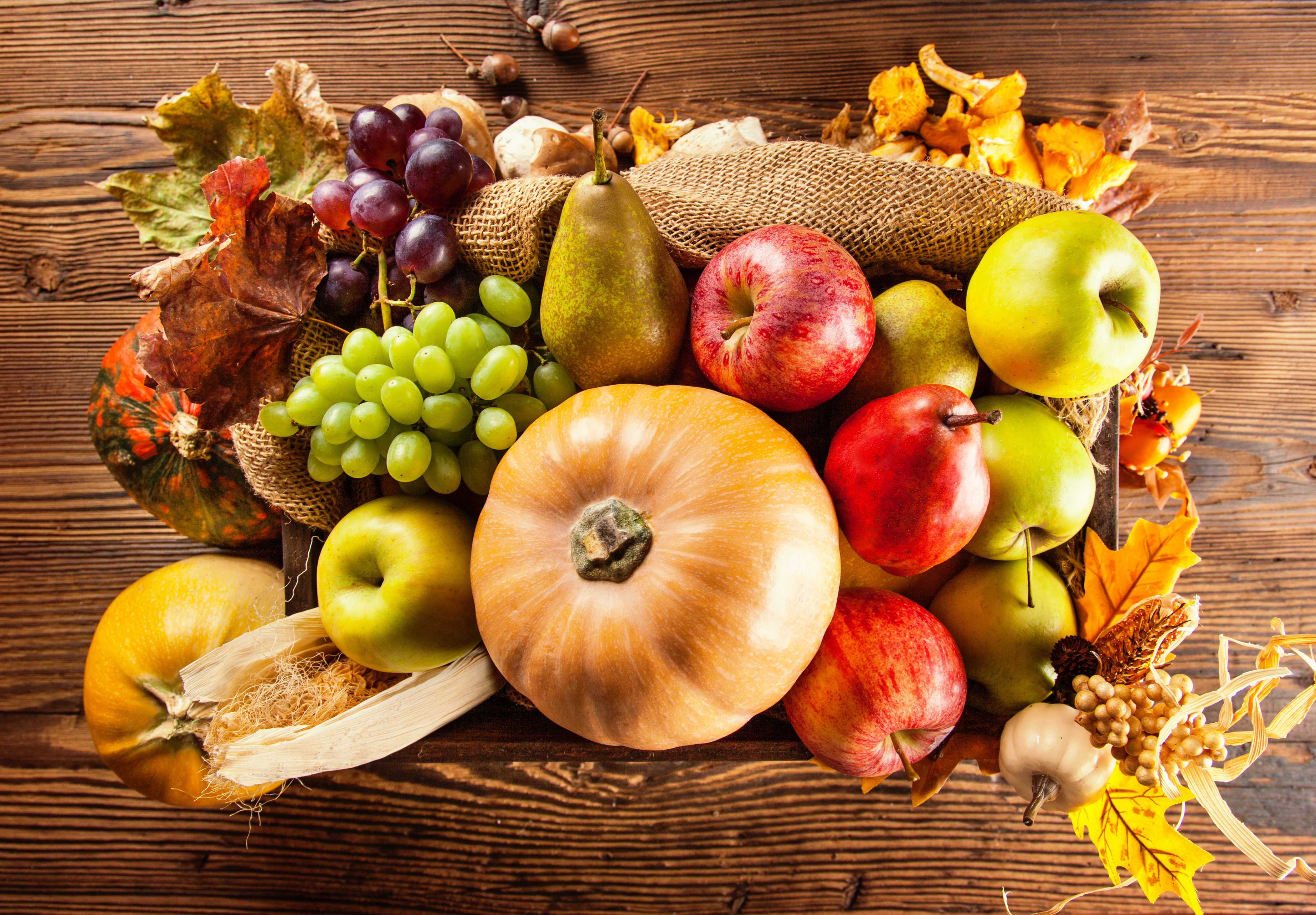 Плоды овощей и фруктов. Осенние овощи и фрукты. Осенний урожай. Осенние фрукты. Плоды осени.