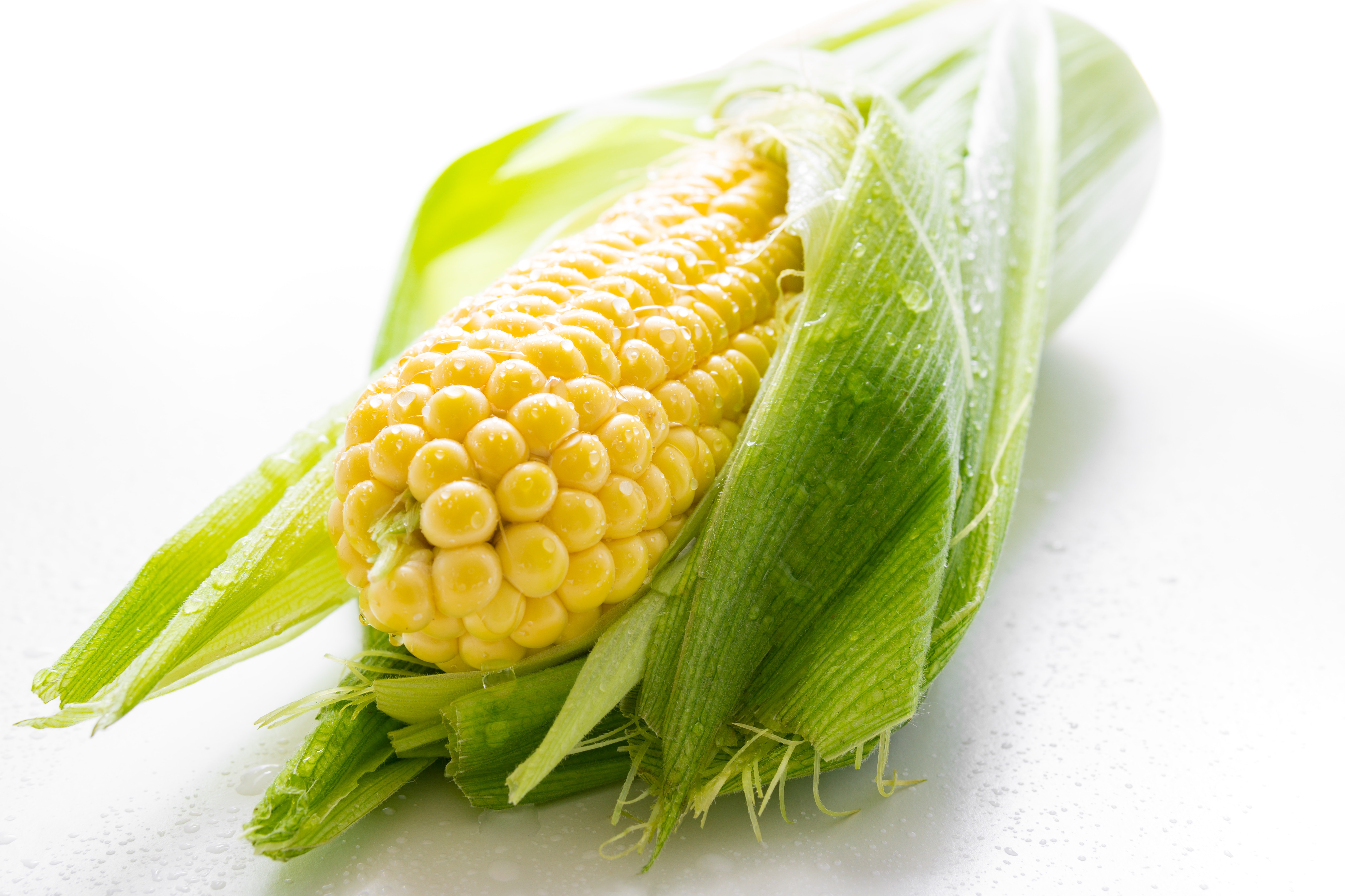 Corn на русском. Кукуруза початок. Кочерыжка кукурузы. Кукуруза Оватонна. Качан кукурузы.