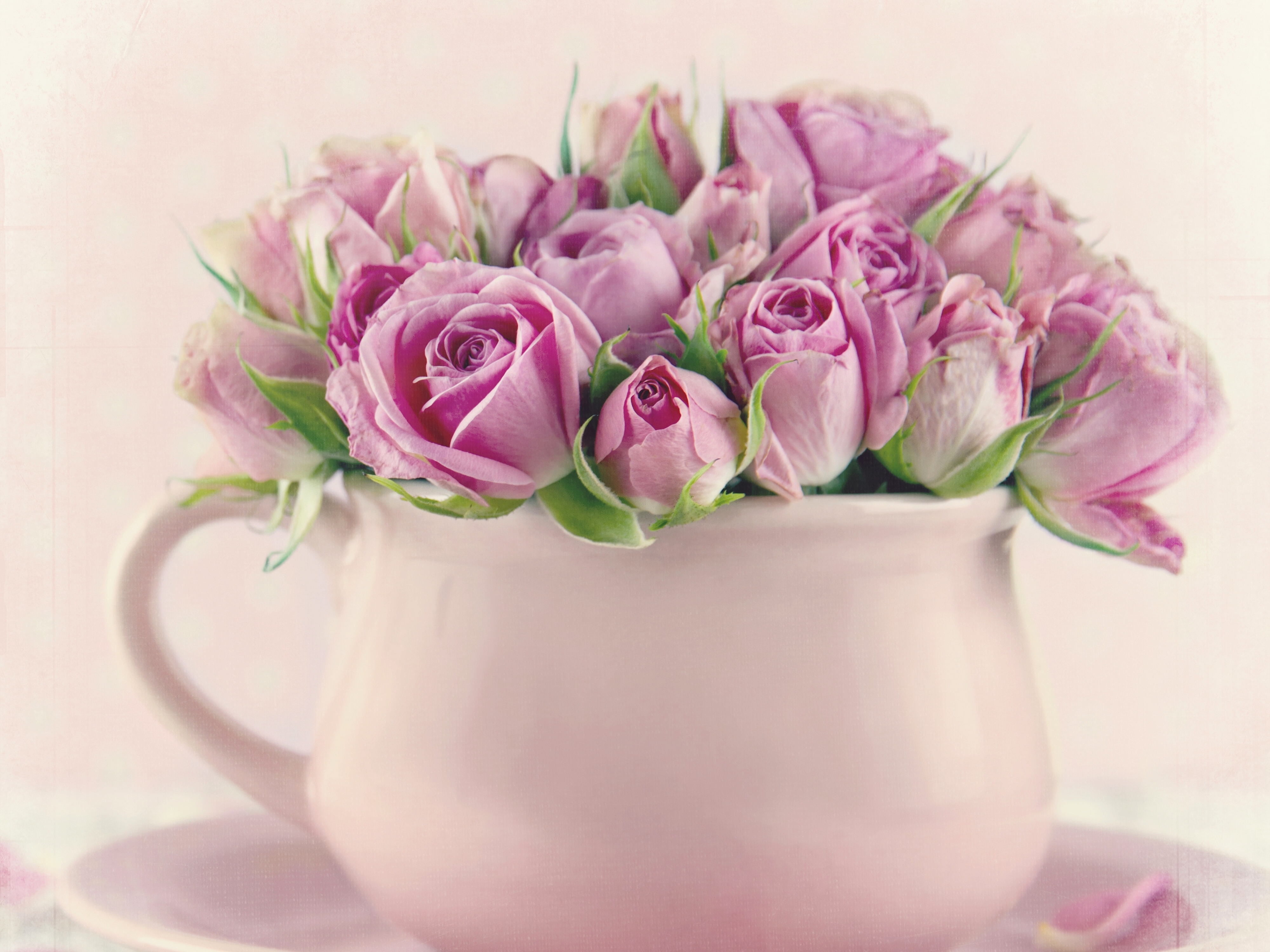 Добрый день четверг март. С днем рождения цветы в чашке. Открытки с добрым утром с цветами. Цветы с добрыми пожеланиями. Нежные поздравления с добрым утром.