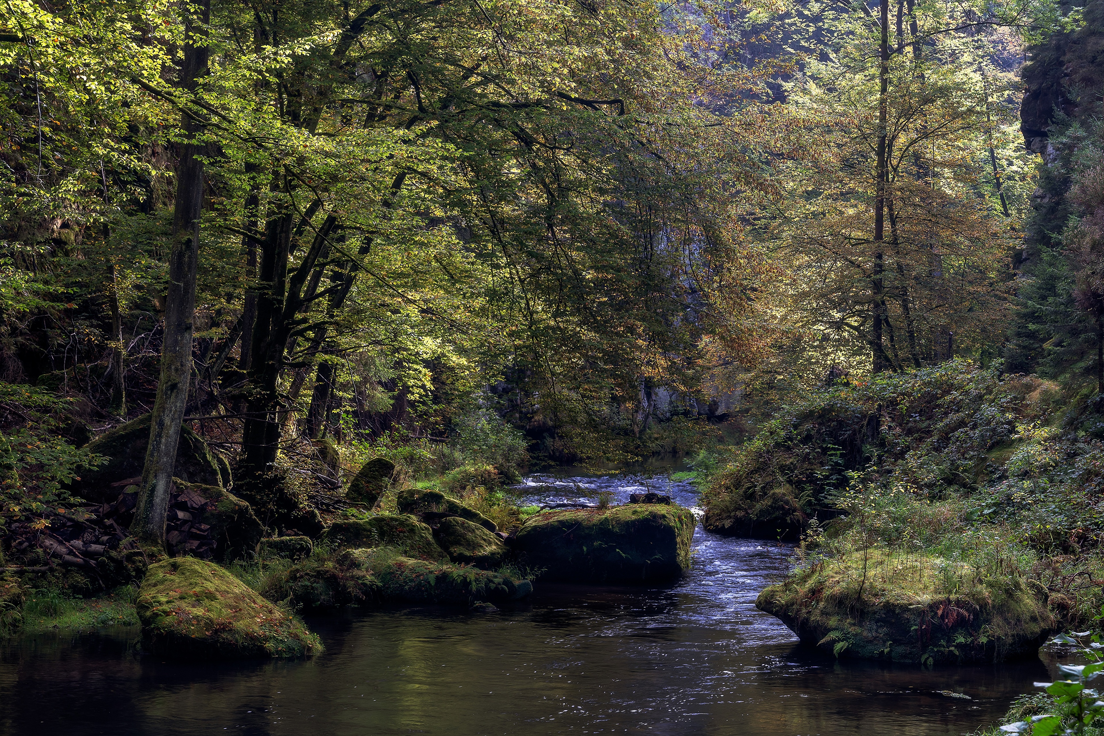 Picture Czech Republic Edmundsklamm, river Kamnitz Nature forest Rivers Stones Trees Forests stone