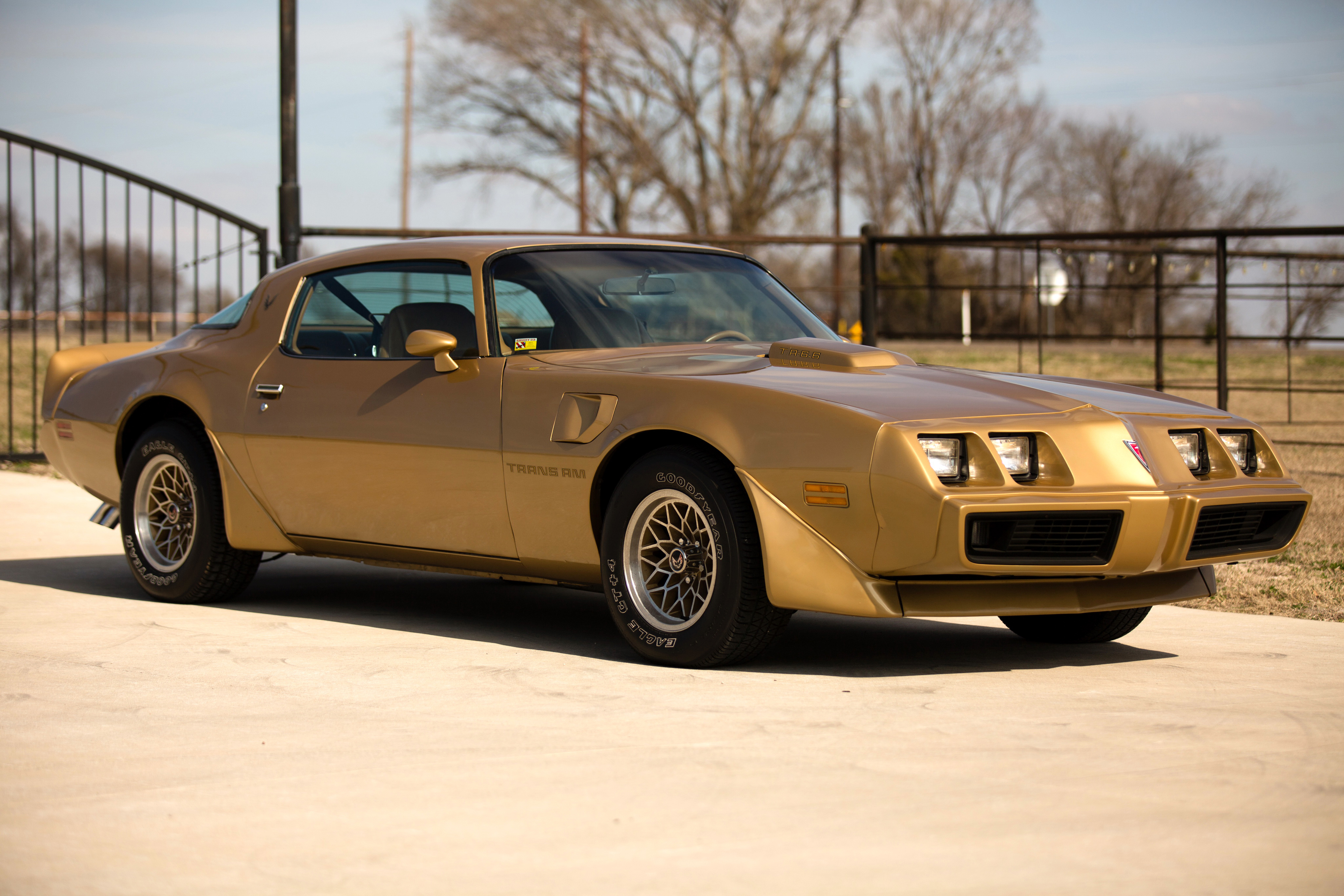 Фотография Pontiac 1979 Firebird Trans Am T-A 6.6 L78 3600x2400