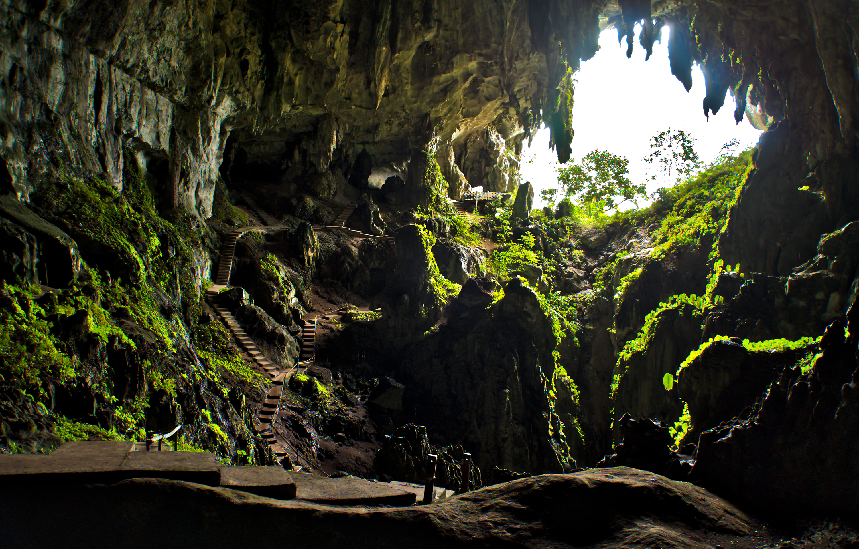 Pictures caves Nature stairway Moss 3000x1920