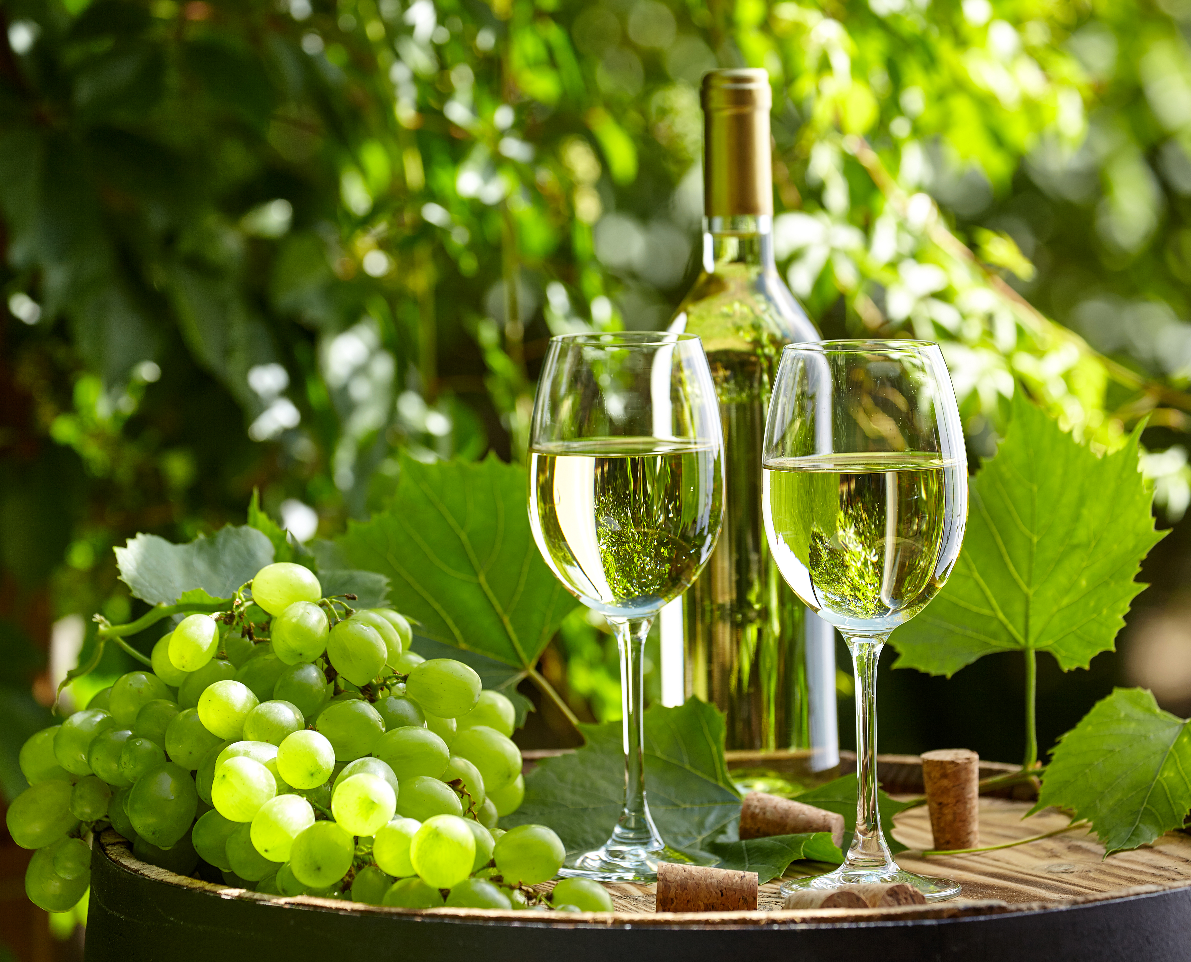 Сорт белого вина 7. Торронтес виноград. Совиньон Блан виноградник. Белое вино. Бокал с вином.