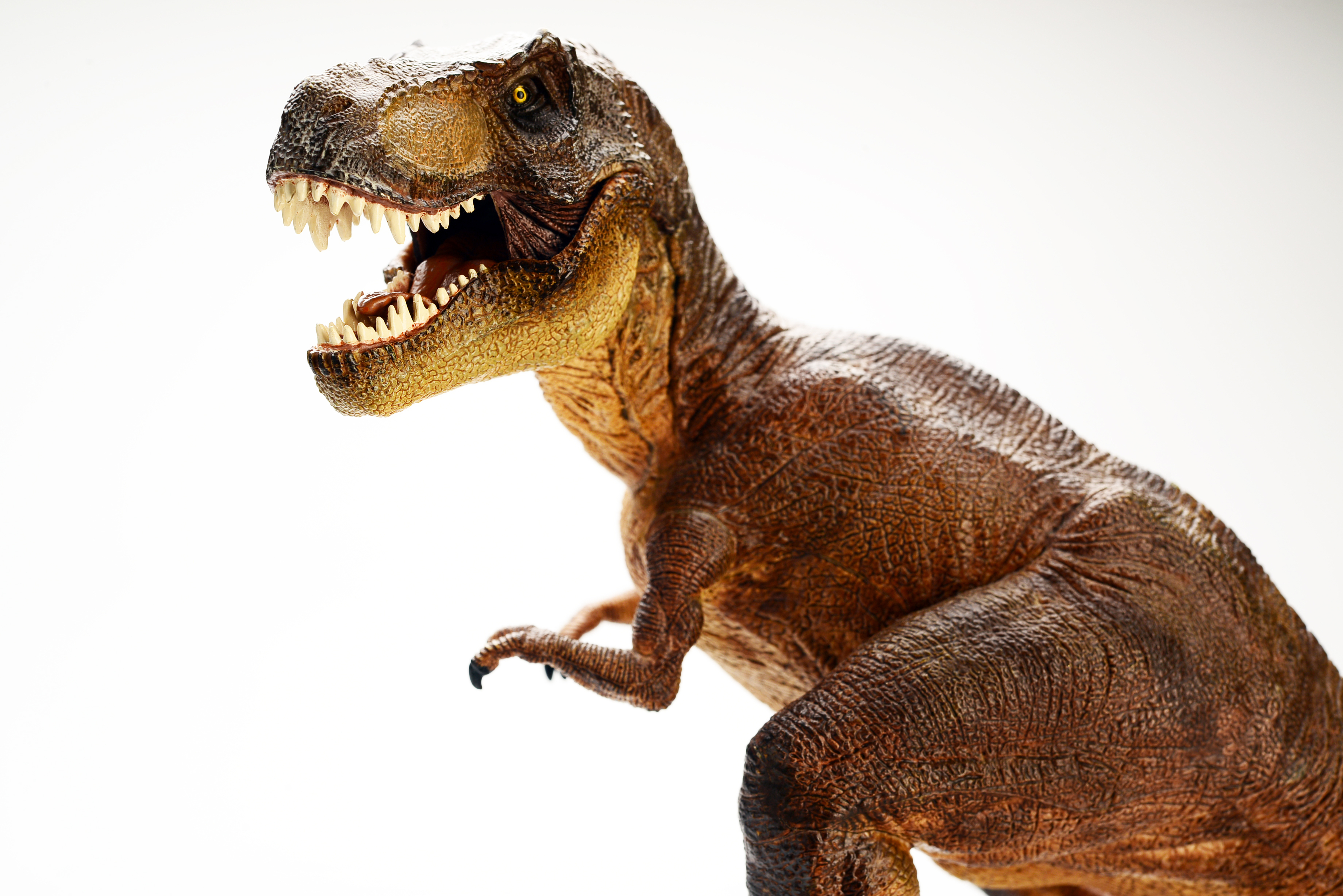 Крик динозавра. Тираннозавр рекс. Динозавр "Тиранозавр рекс". Динозавры Тиранозавр РЭКС. Тираннозавр рекс 2022.