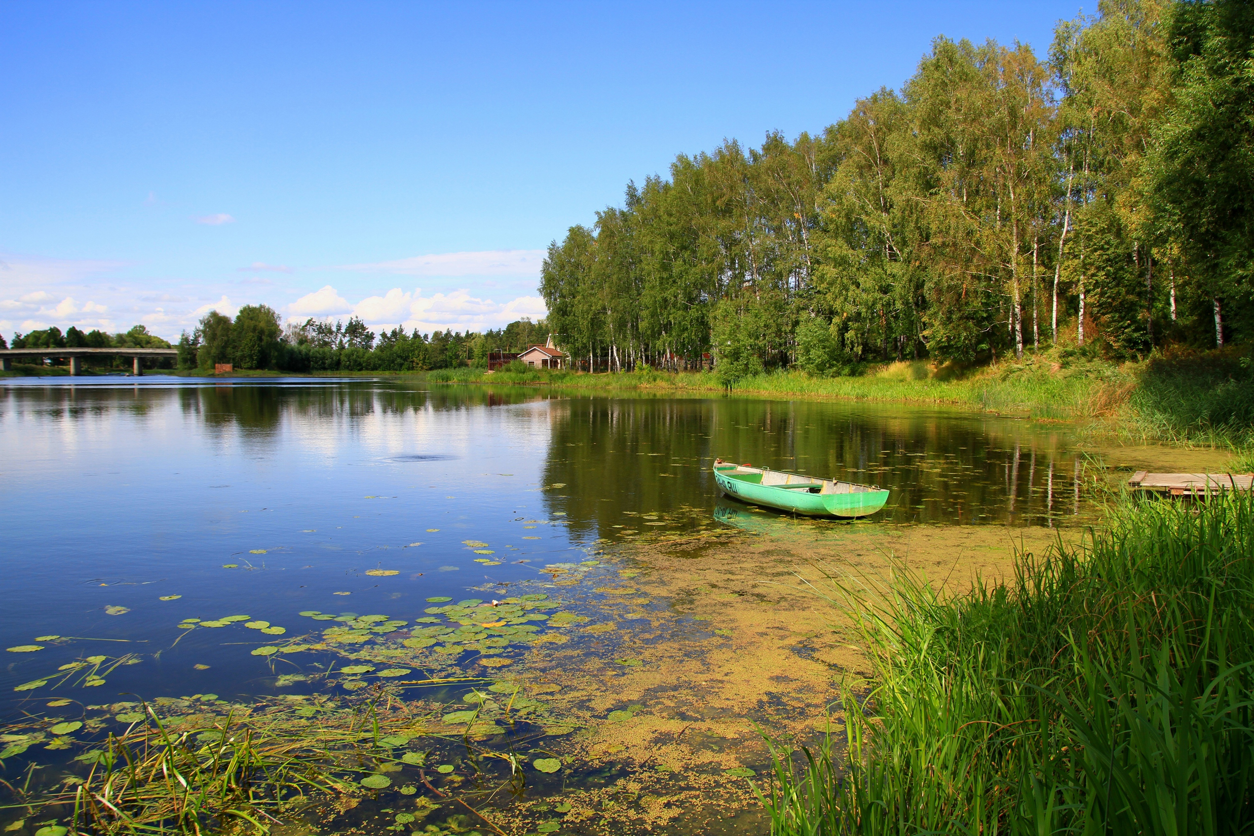 Берег реки фото. Река Тулва. Берег реки. Берег небольшой реки. Речка в деревне.