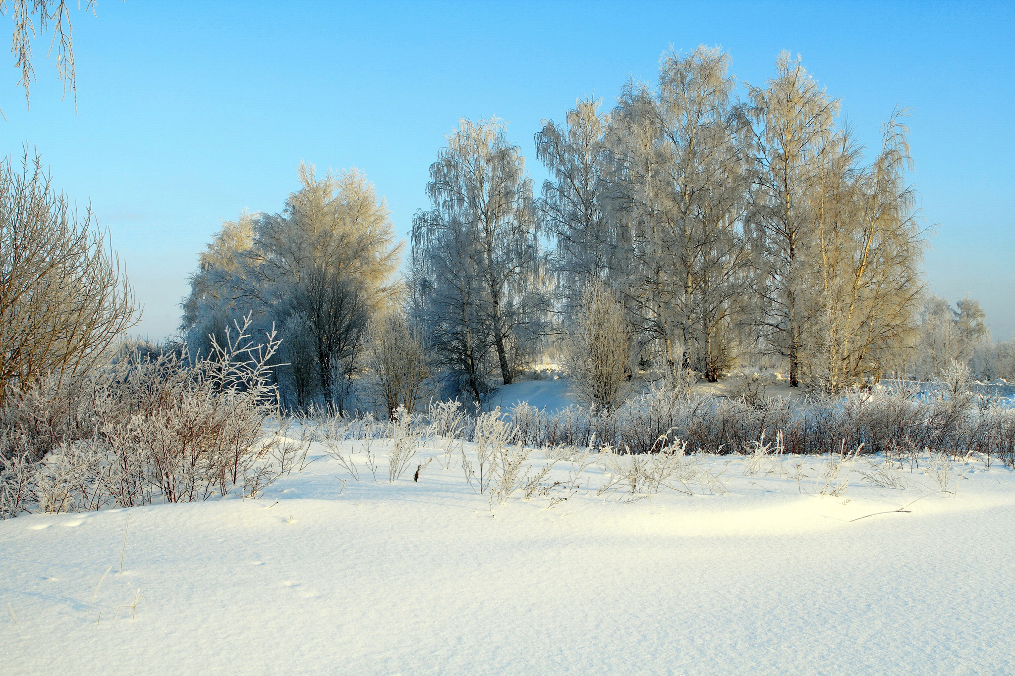 Без зим. Природа средней полосы России зима. Зима в Сибири. Природа Сибири зима. Уватский район природа.