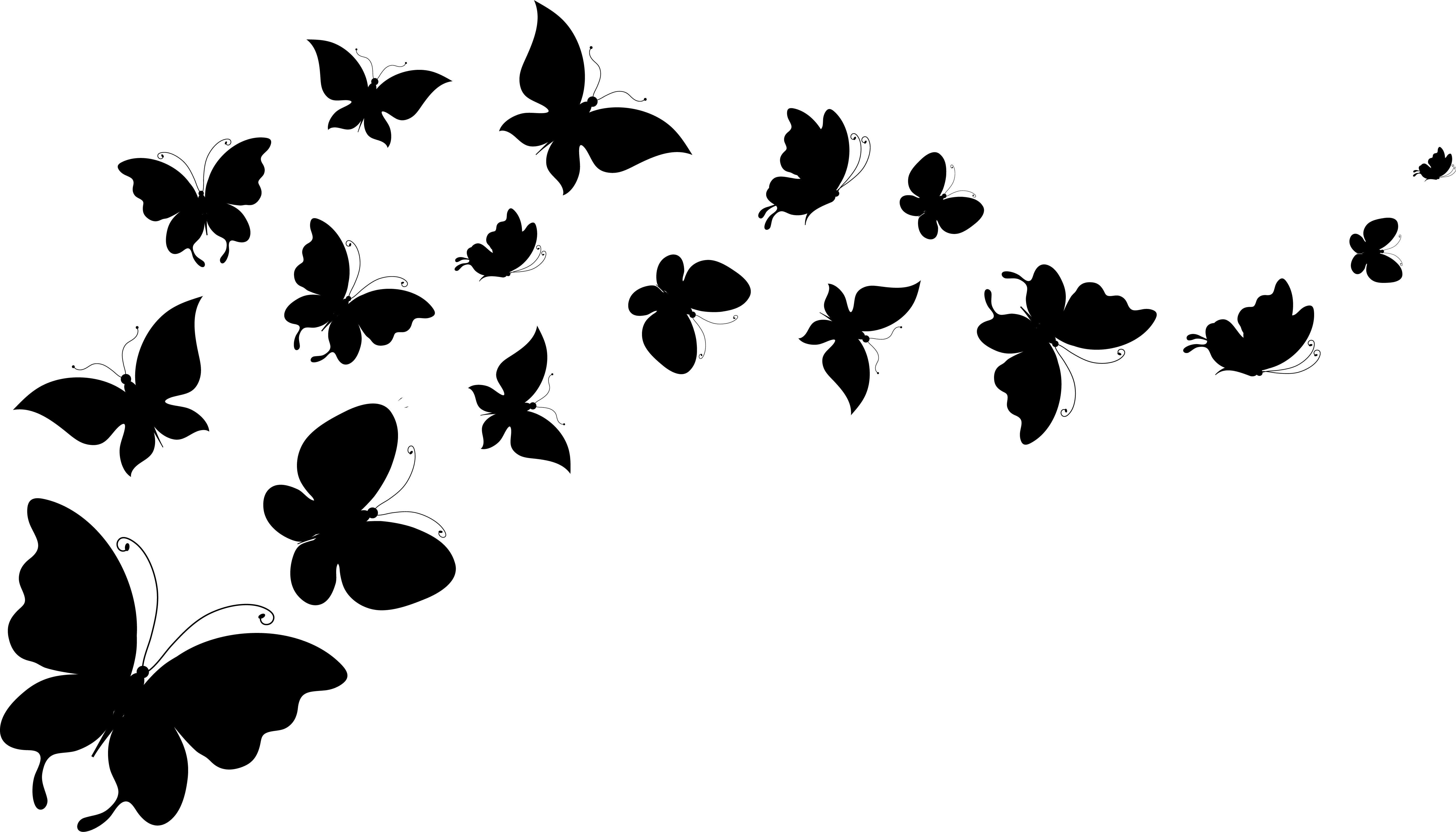 Picture Butterflies Animals Vector Graphics 5418x3097