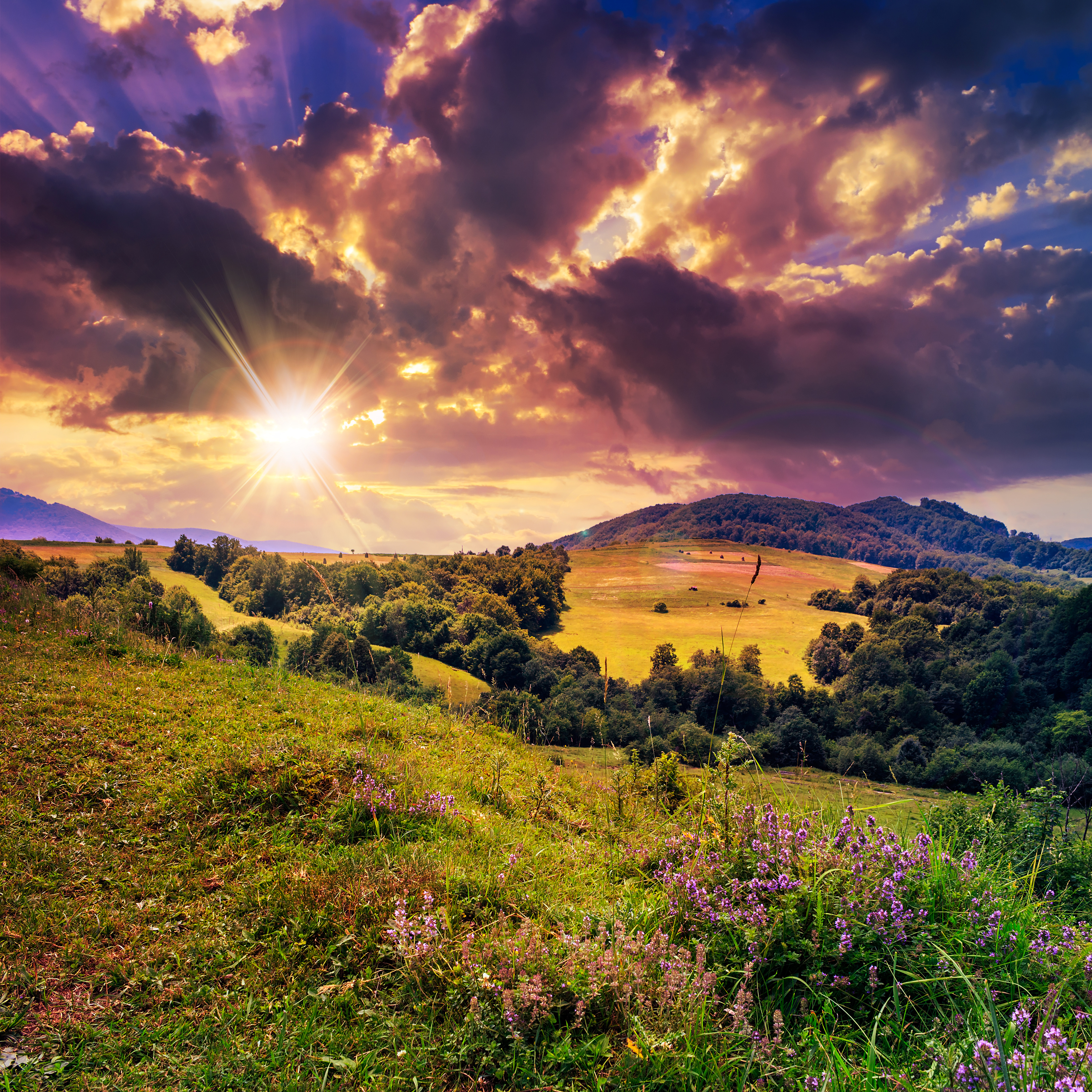 Sfondi del desktop Natura Il Sole Cielo foresta Paesaggio Campo agricolo alba e tramonto Nuvole Foreste Albe e tramonti Nubi
