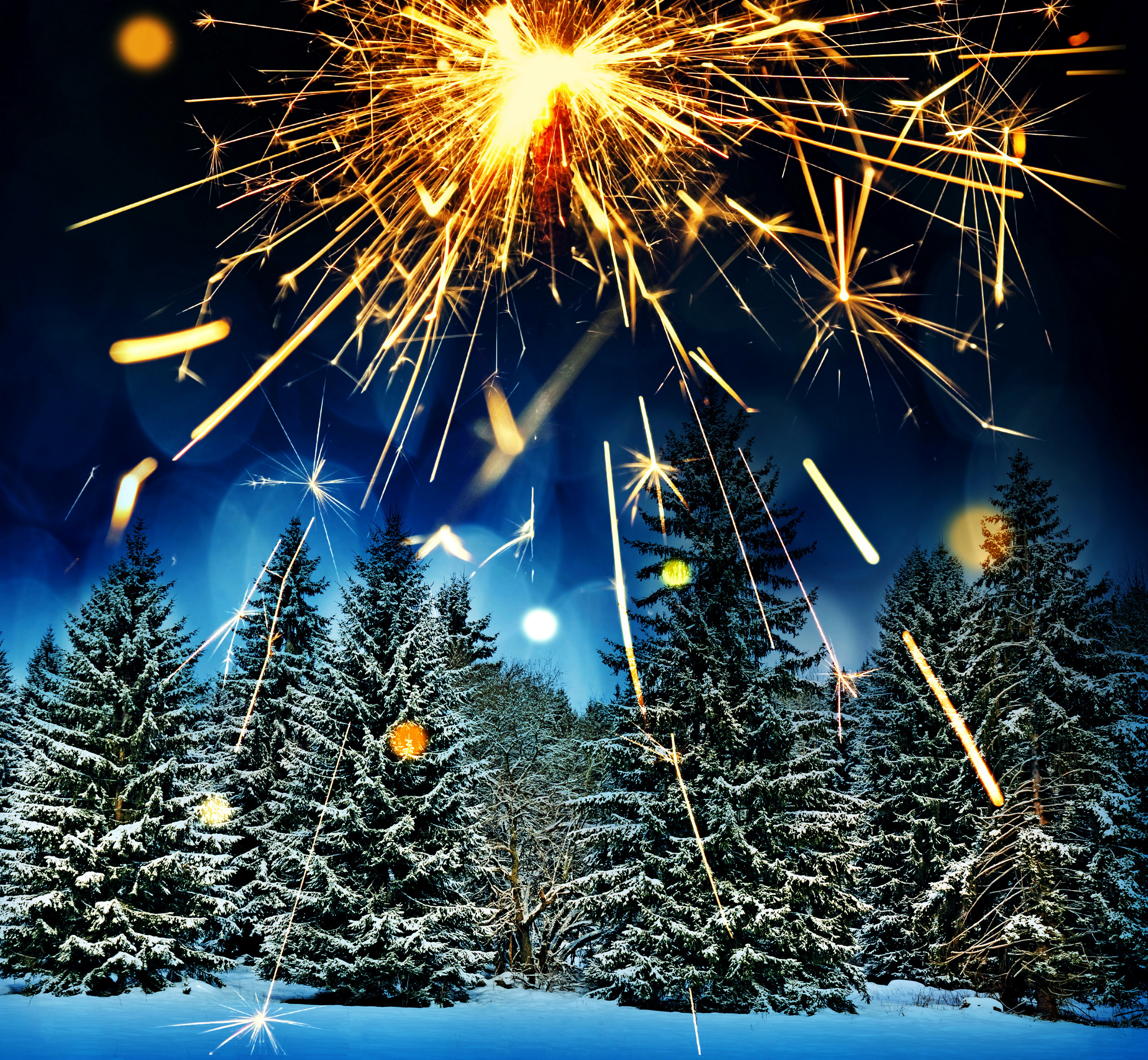 Winter_Forests_Fireworks_464494.jpg